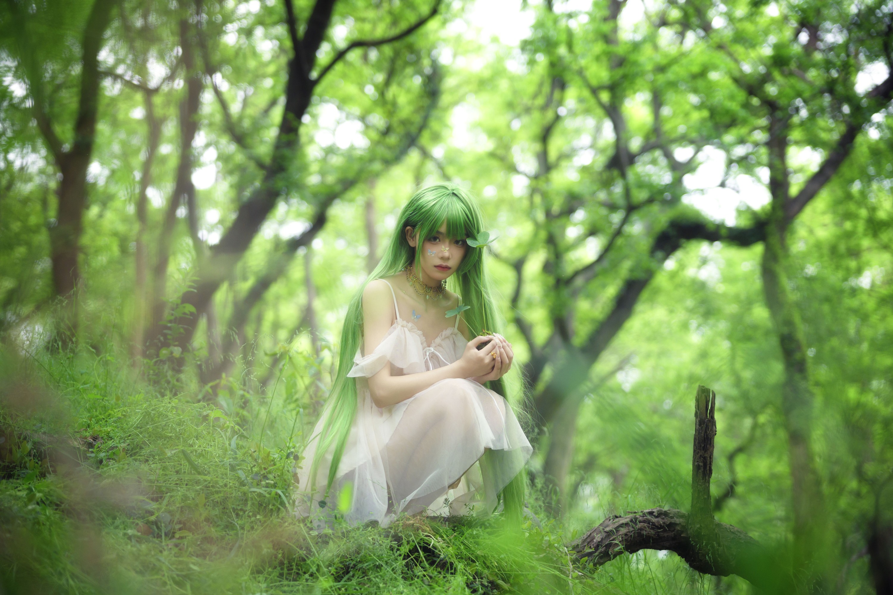 小熊 – 《万物生长》[19P]