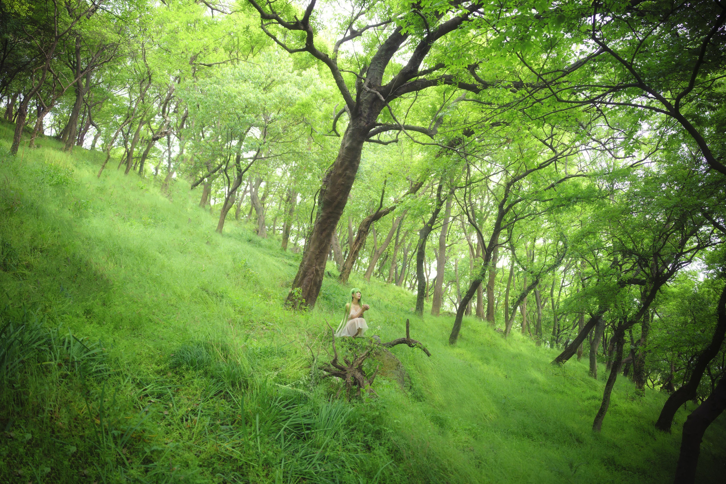 小熊 – 《万物生长》[19P]