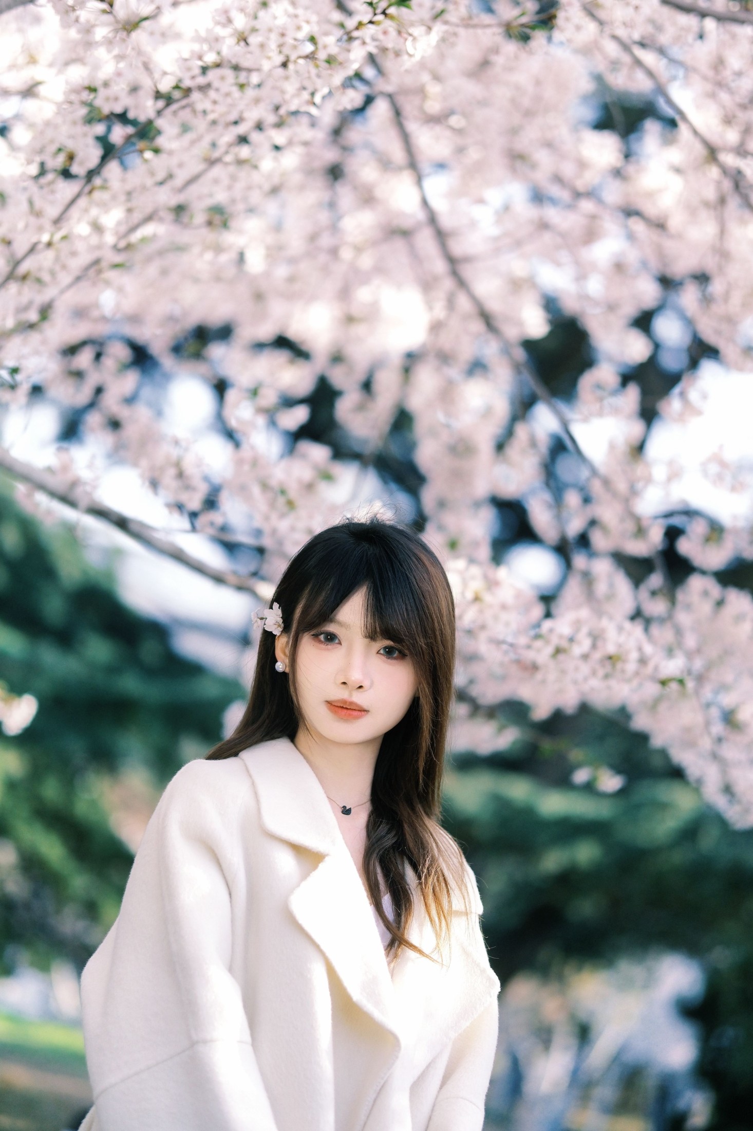 瑶瑶 – 《春樱》[18P]