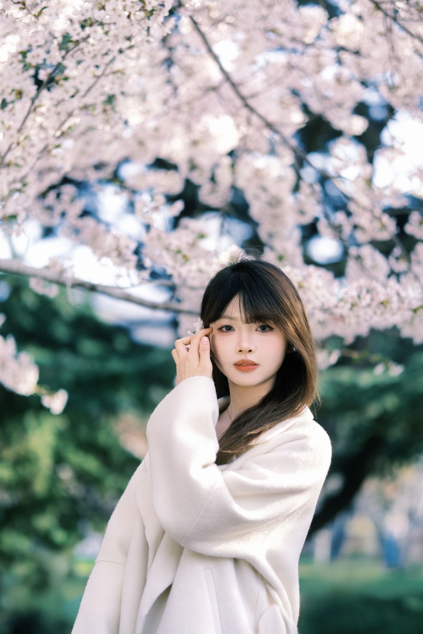 瑶瑶 – 《春樱》[18P]