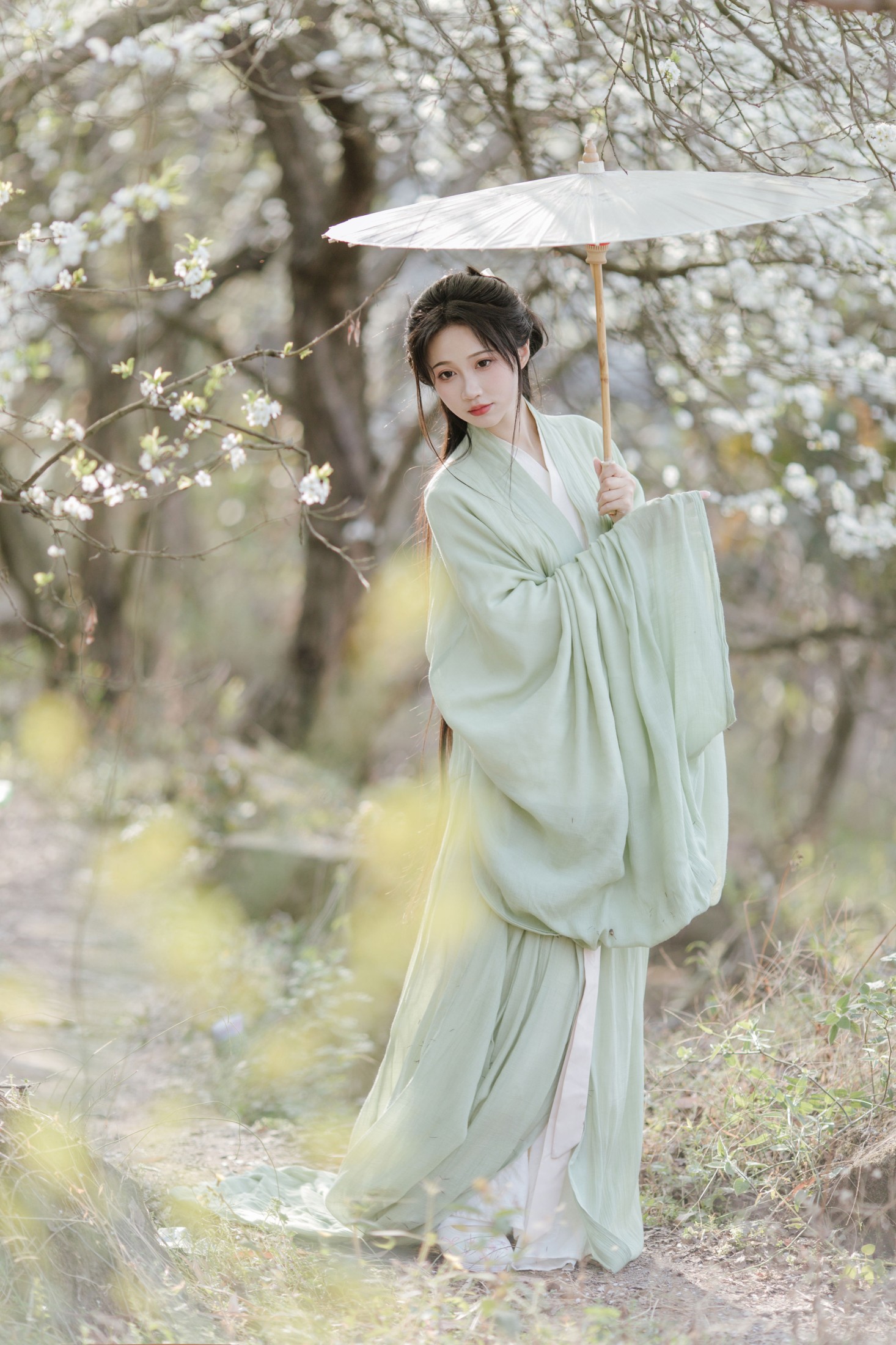 杏花吹满头