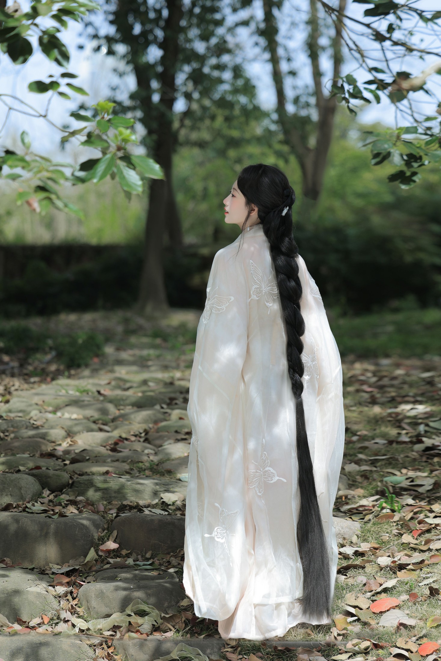 春之樱