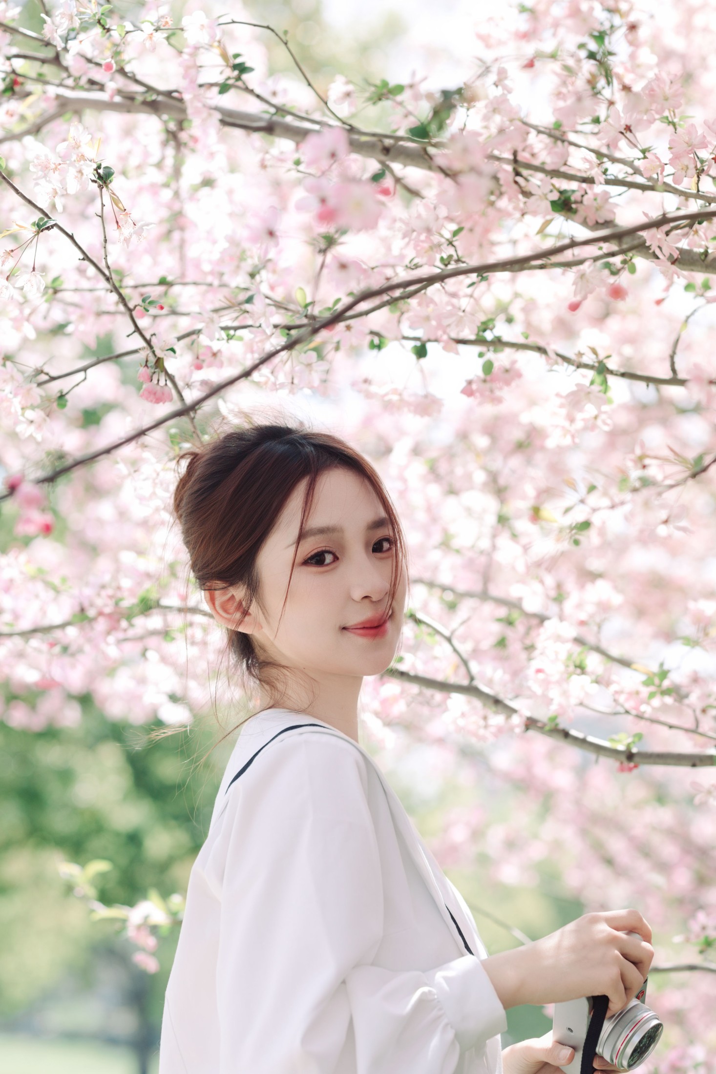 海棠花未眠