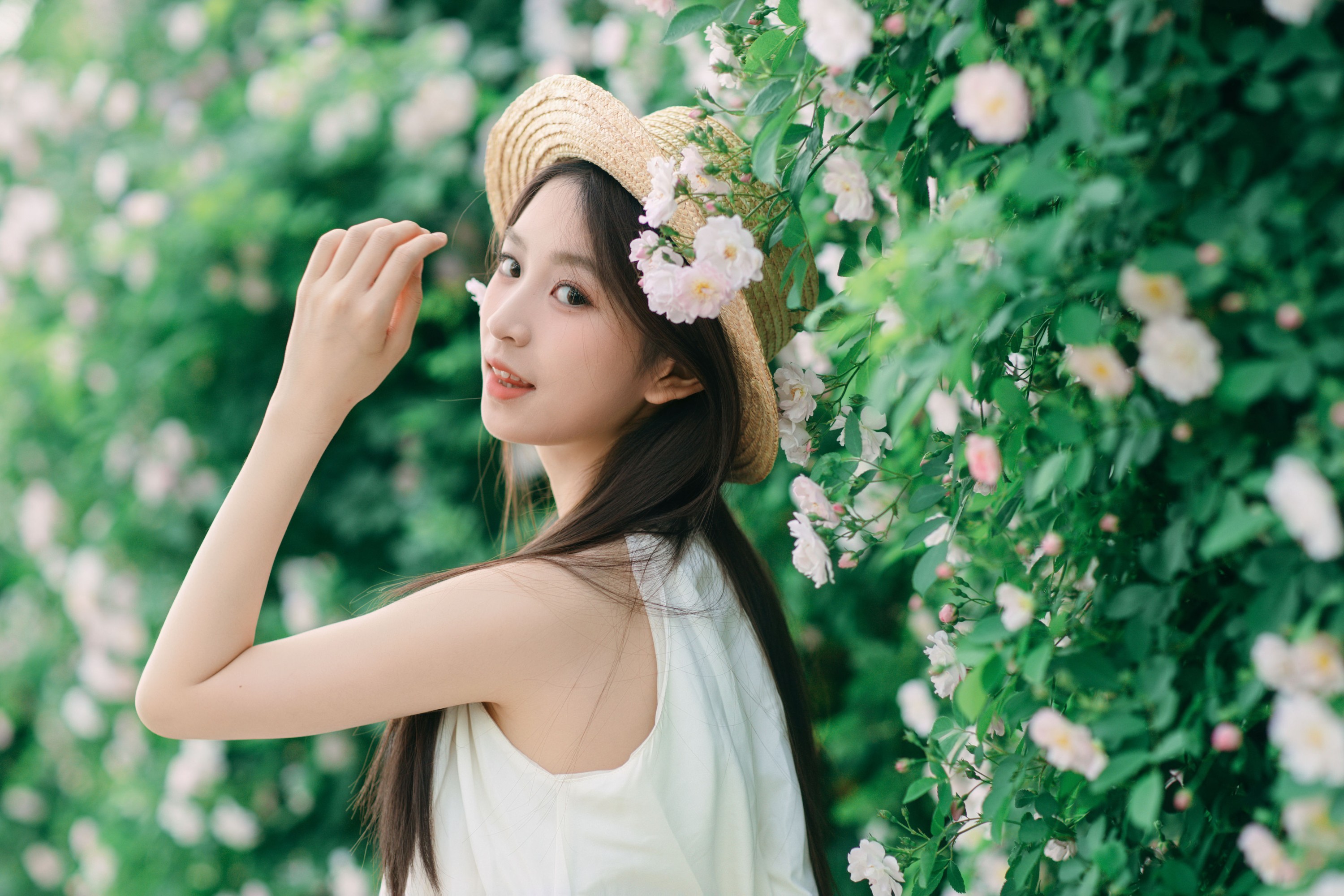 4月蔷薇花