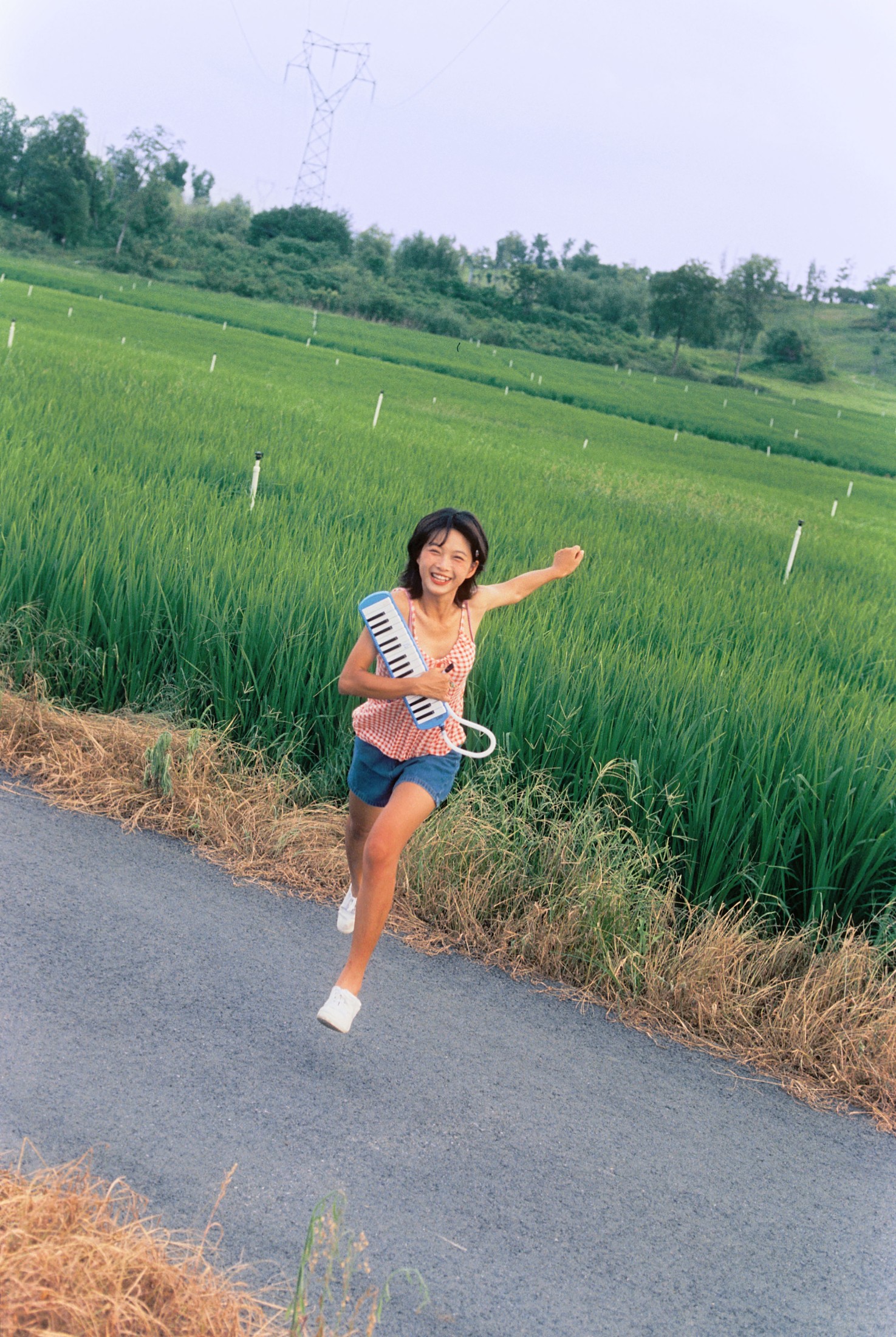 第四十四次日落