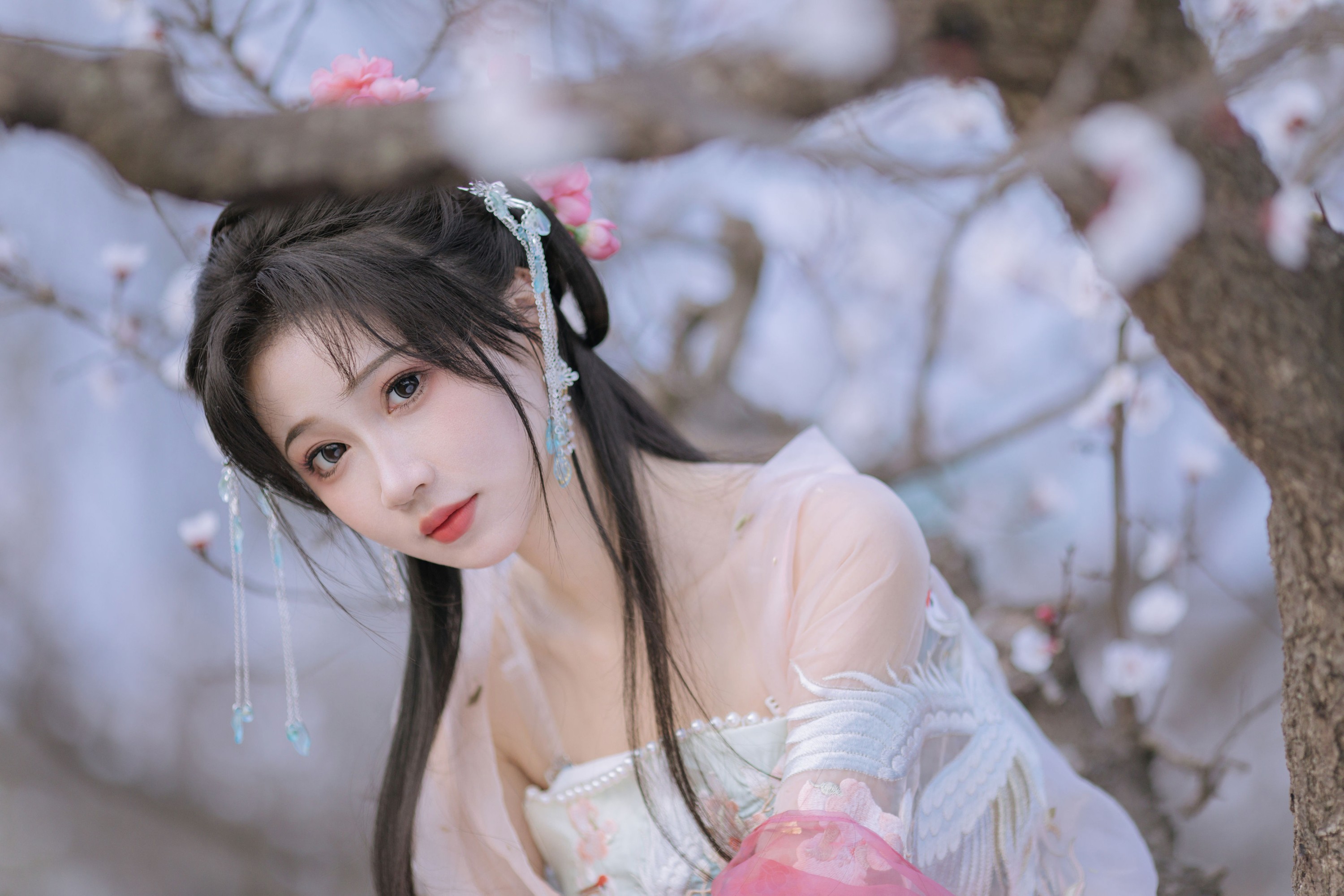 杏花小仙子