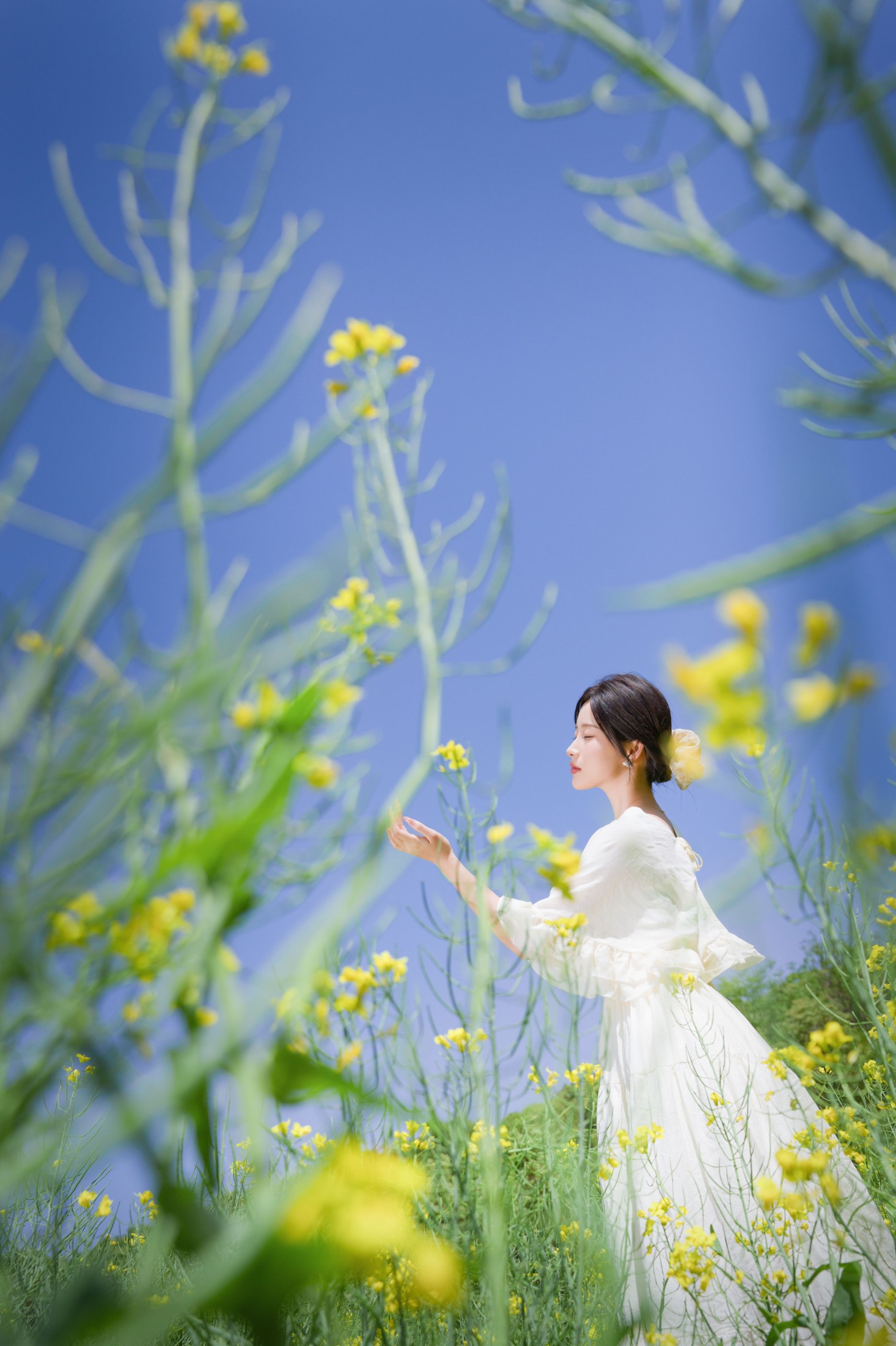 栀栀雯 – 《梦幻花海》[44P]