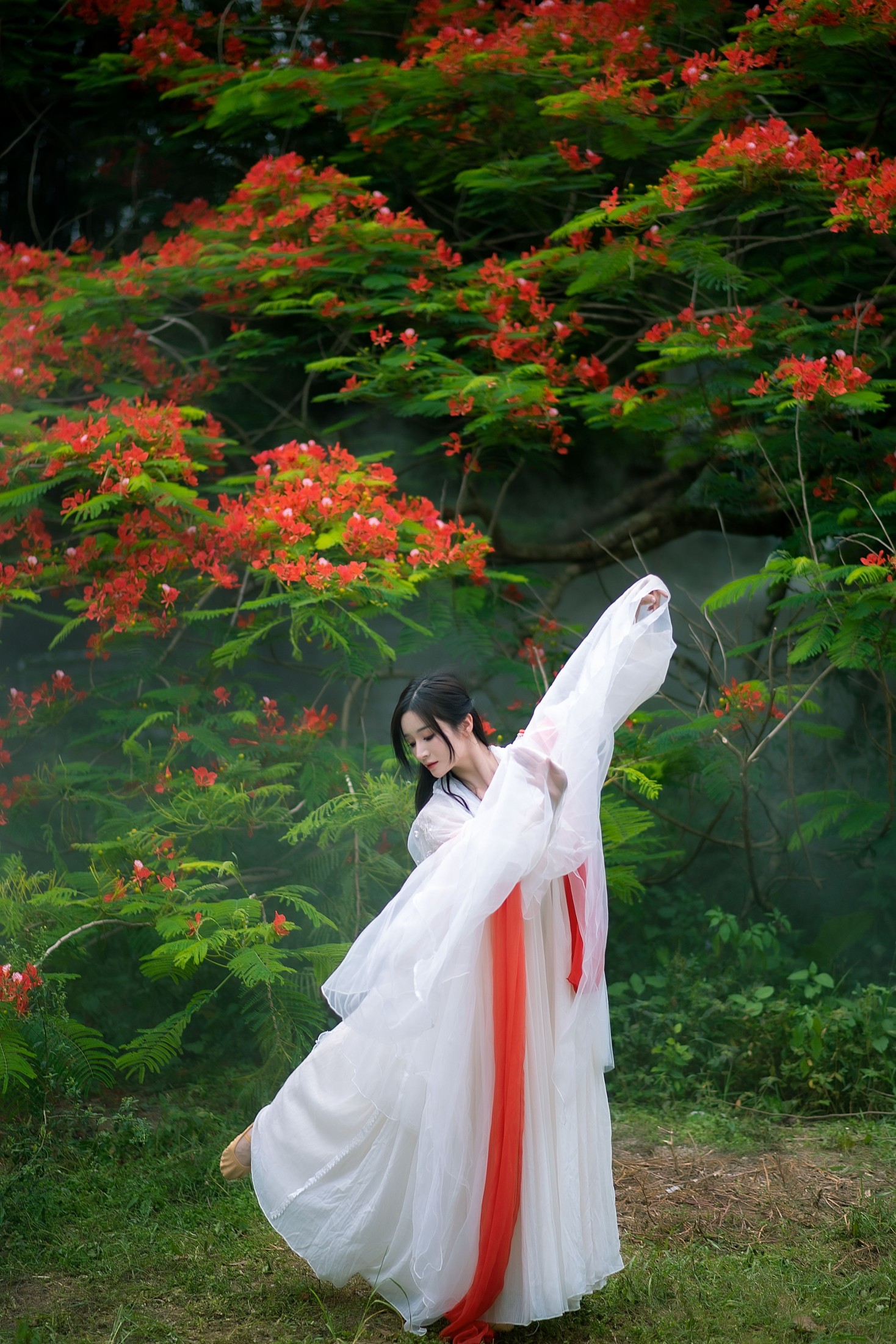 小冉 – 《凤凰花开》[18P]
