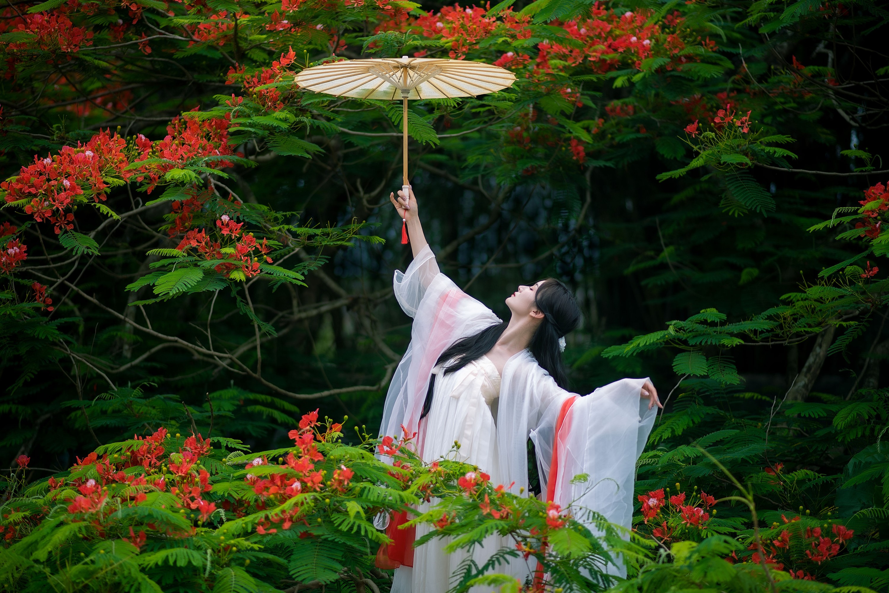 小冉 – 《凤凰花开》[18P]