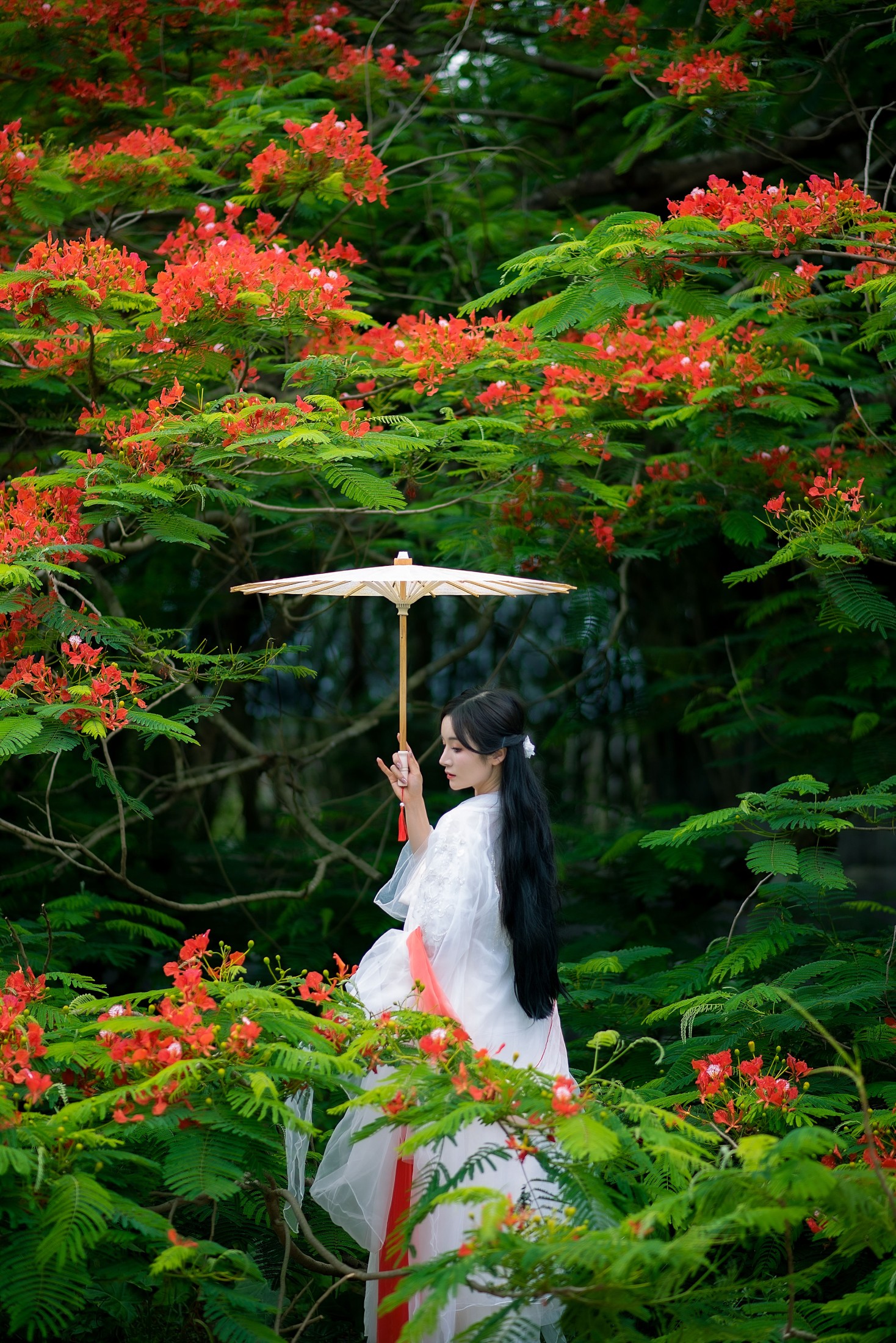 小冉 – 《凤凰花开》[18P]