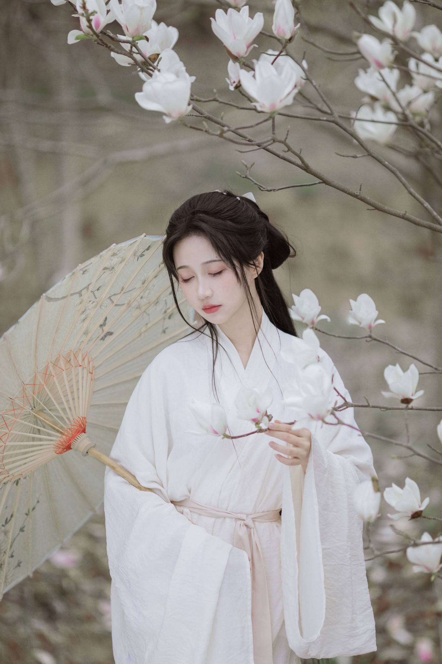 皎洁如兰