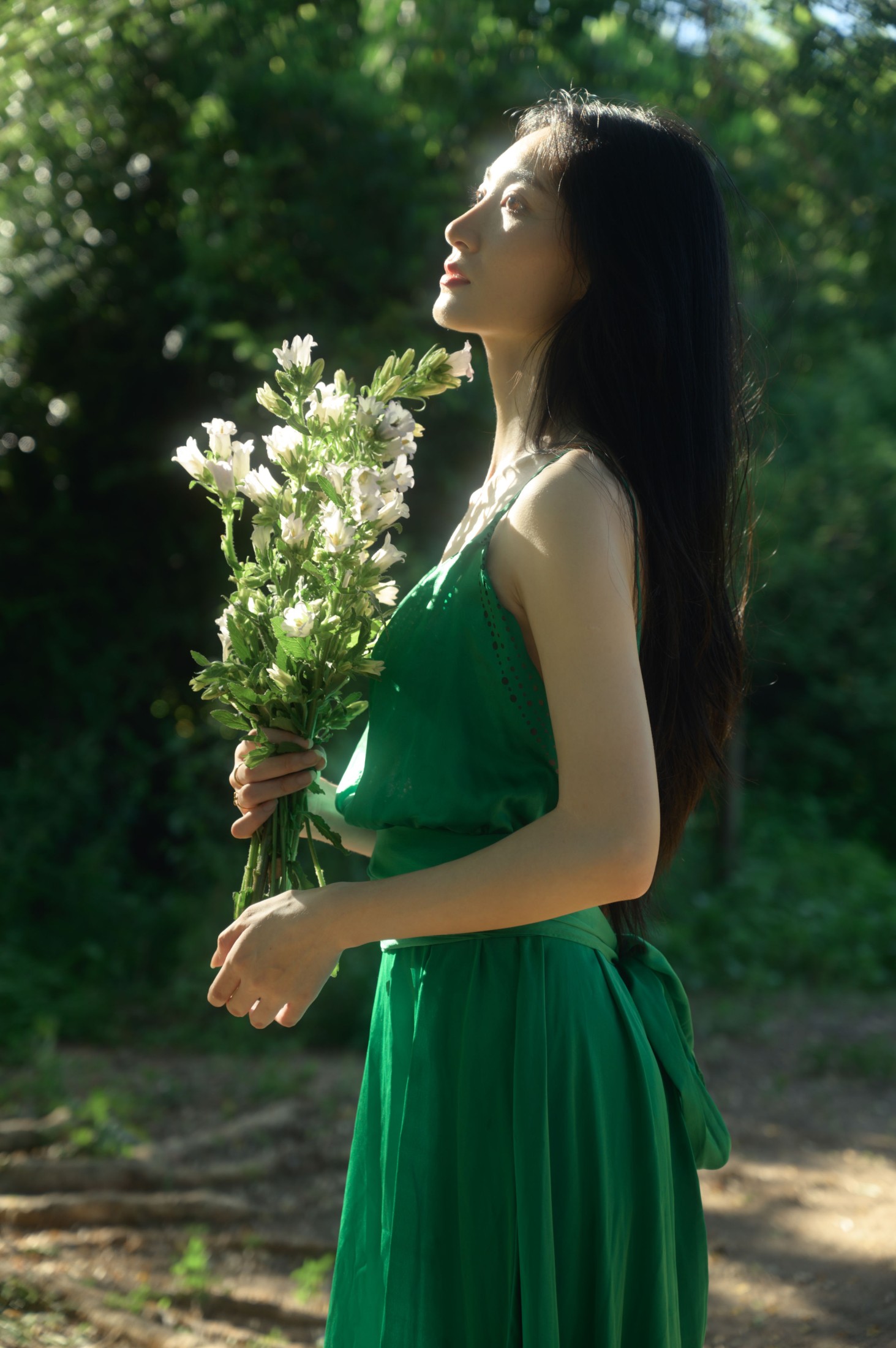 绿野仙踪