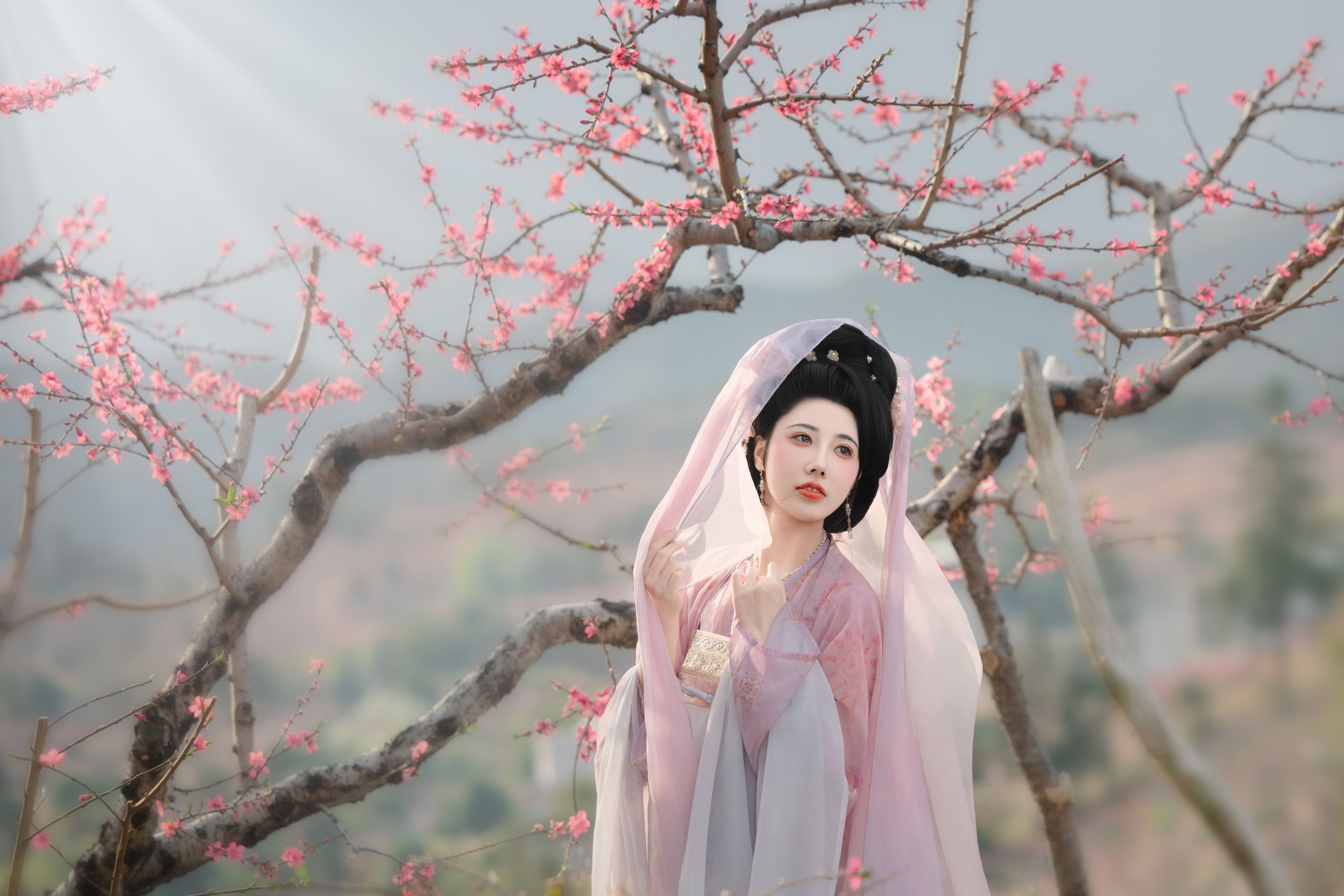 CC – 《花非花》[32P]