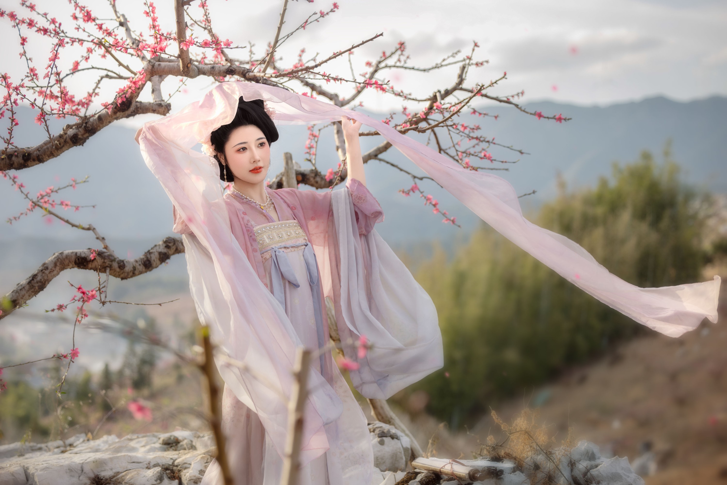 CC – 《花非花》[32P]