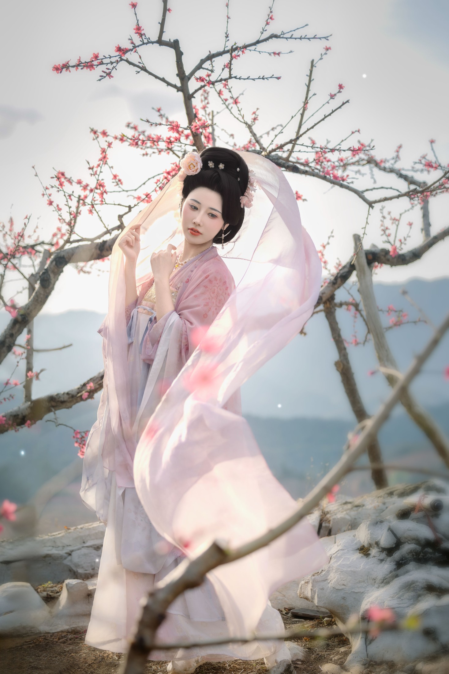 CC – 《花非花》[32P]