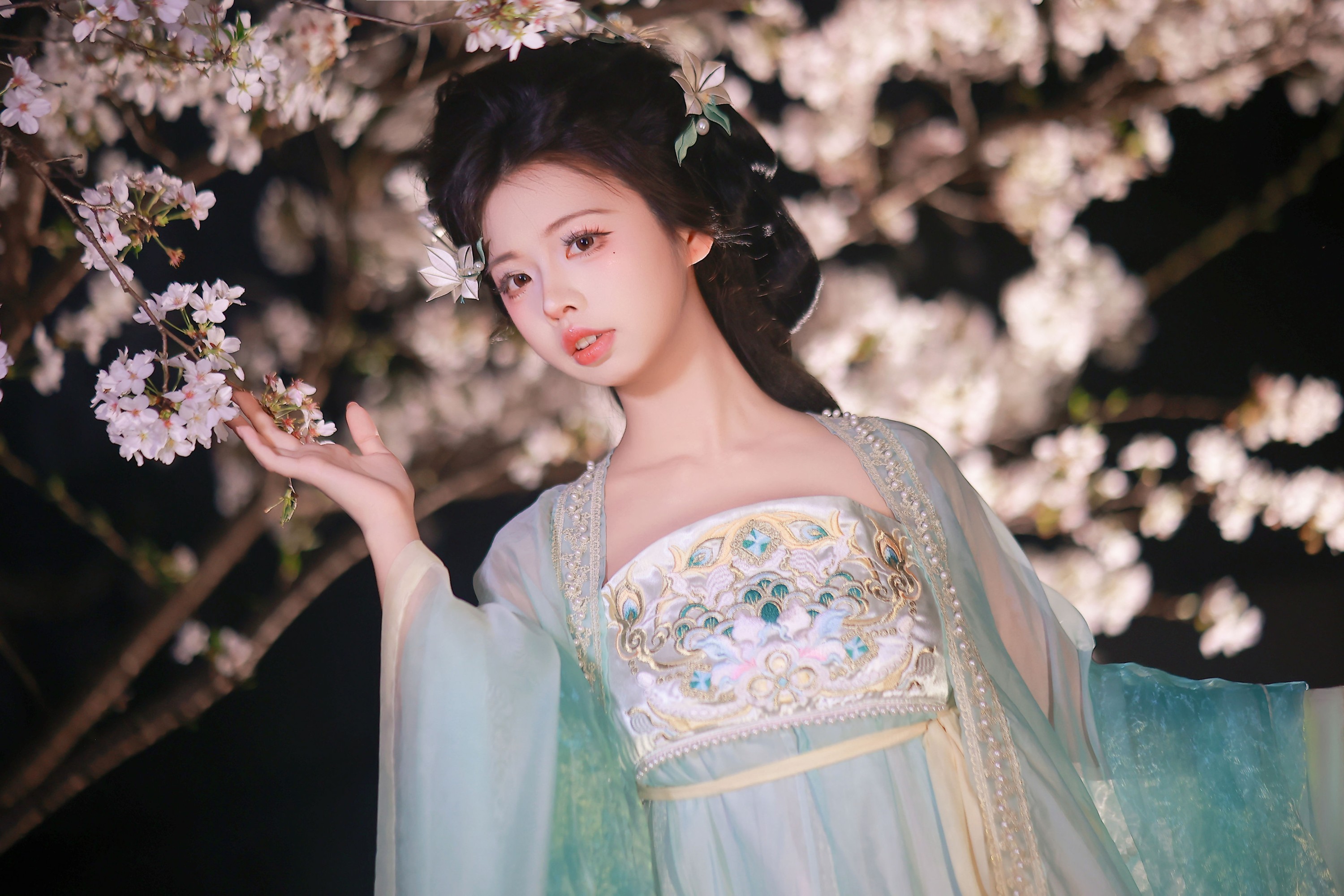 樱花与少女