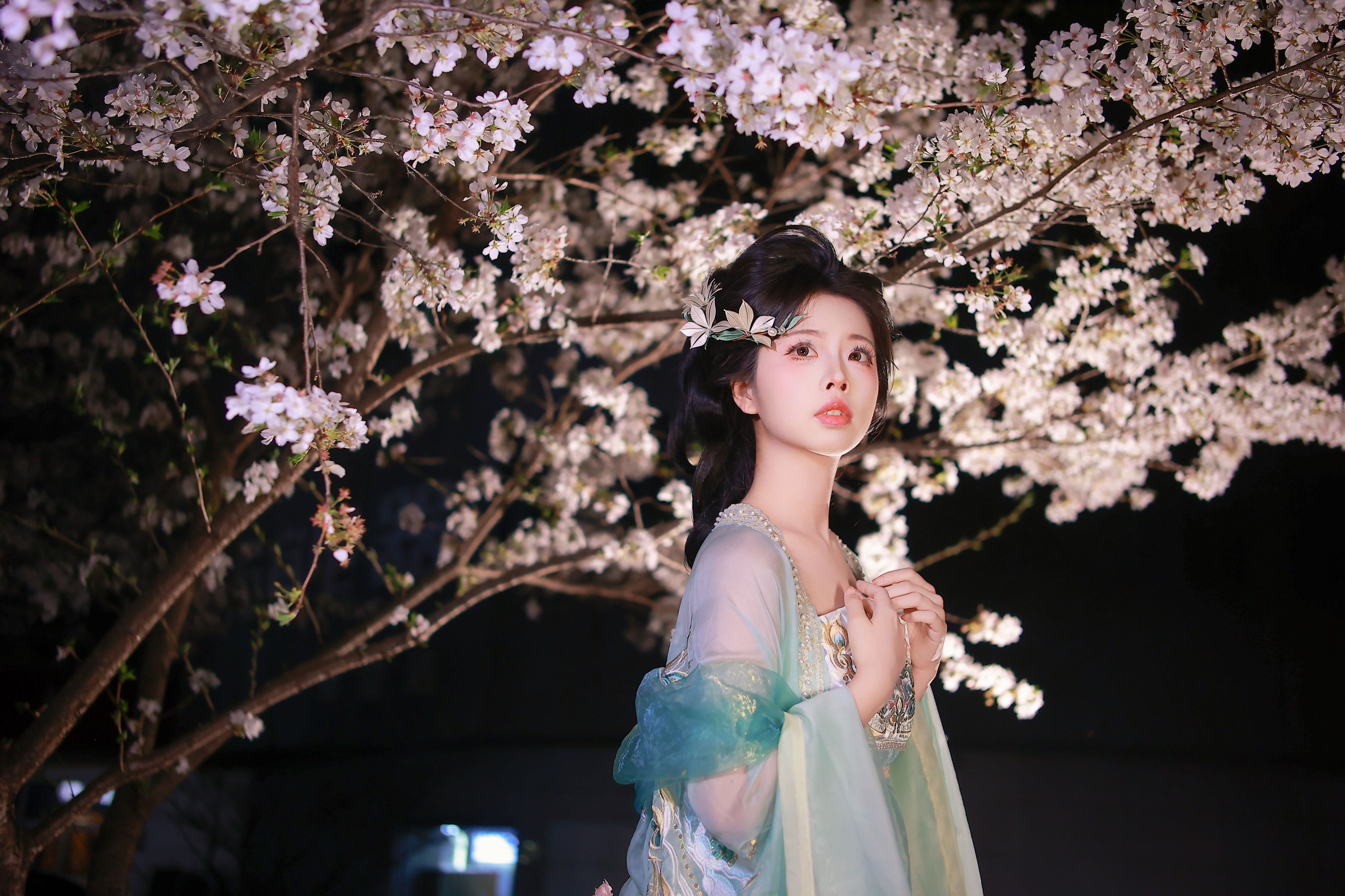 肥肥 – 《樱花与少女》[15P]