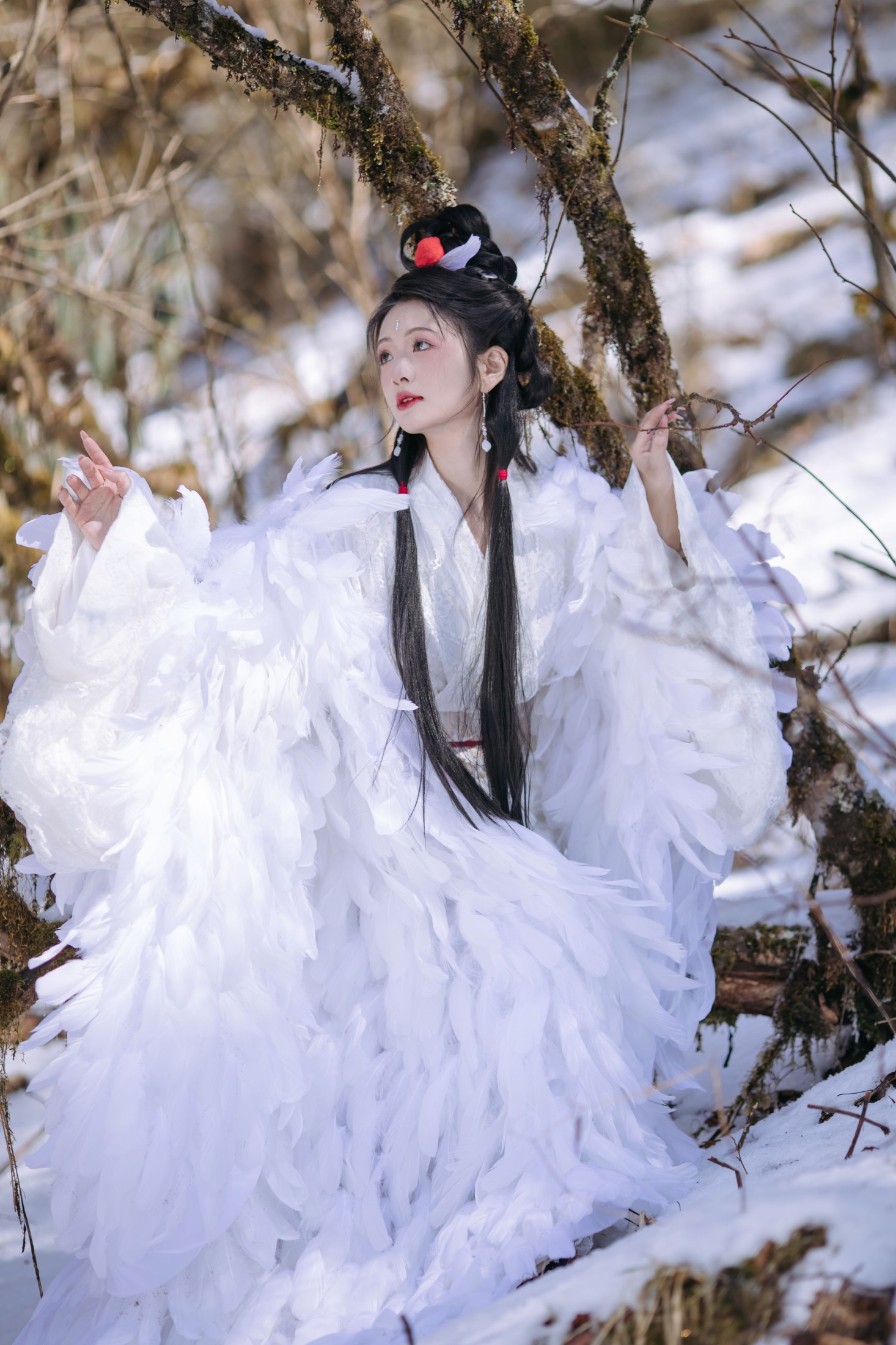 鹤族圣女