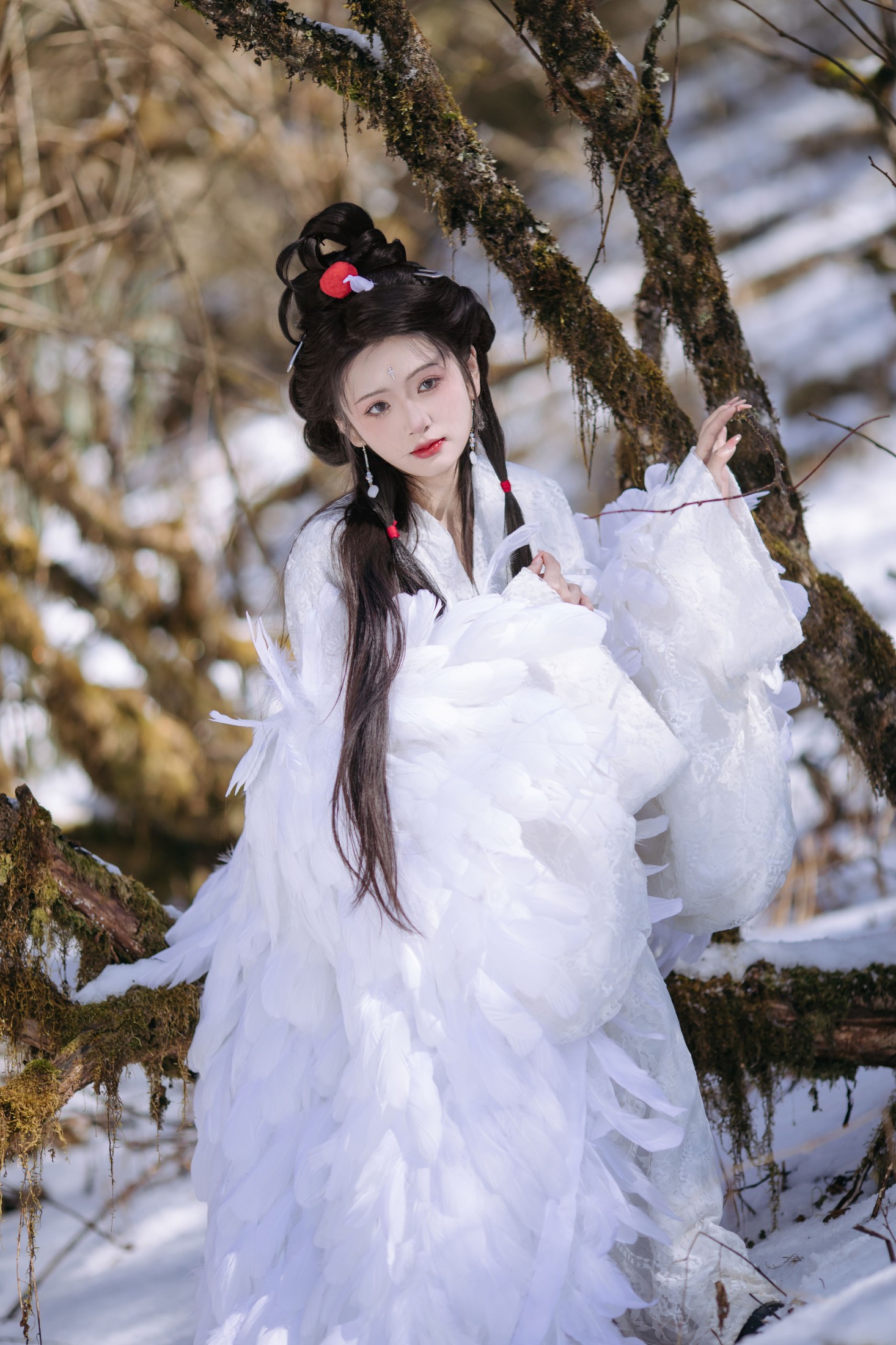 赤嫣在这里～ – 《鹤族圣女》[18P]