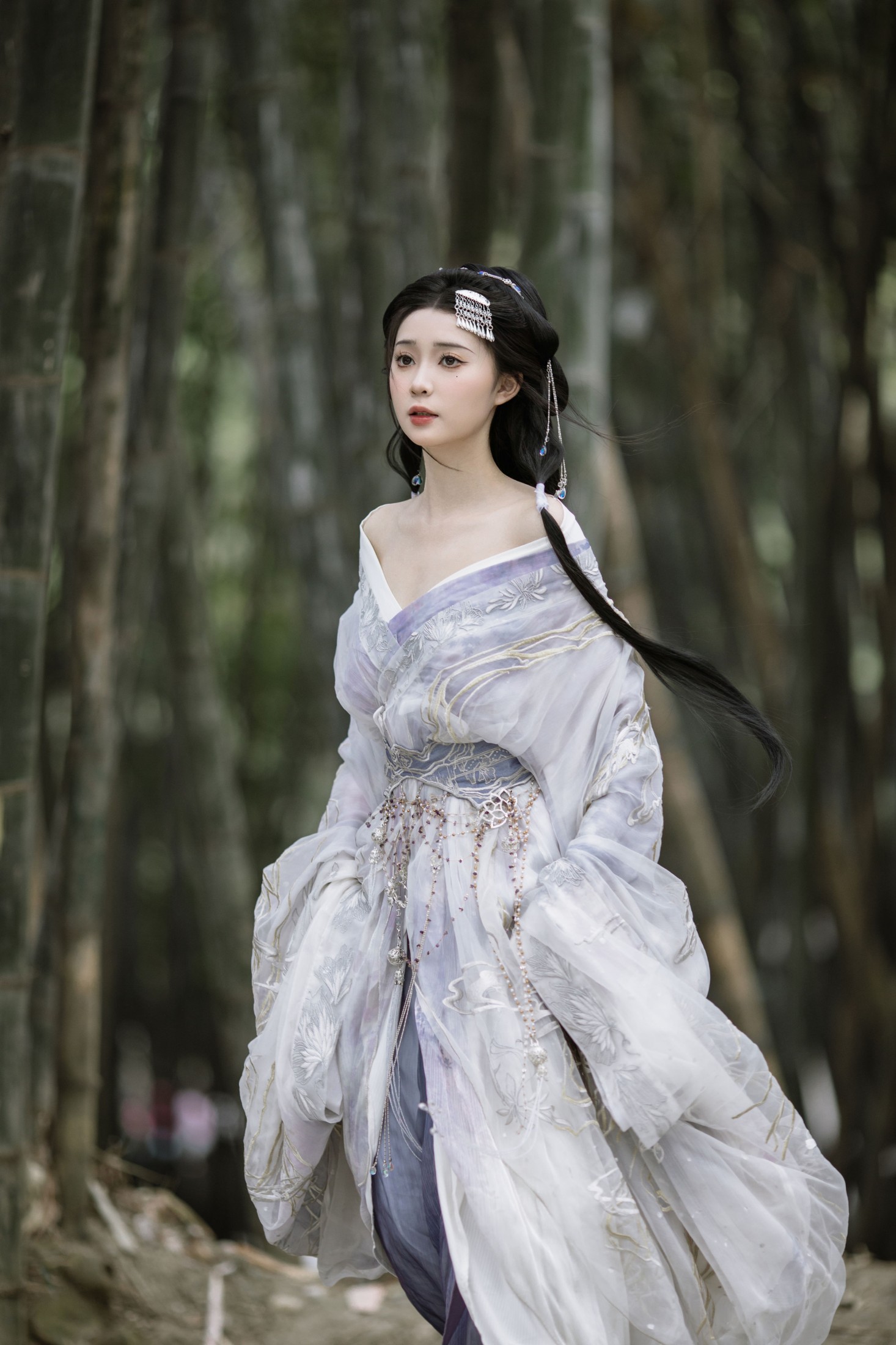 今天的风是杜鹃花香