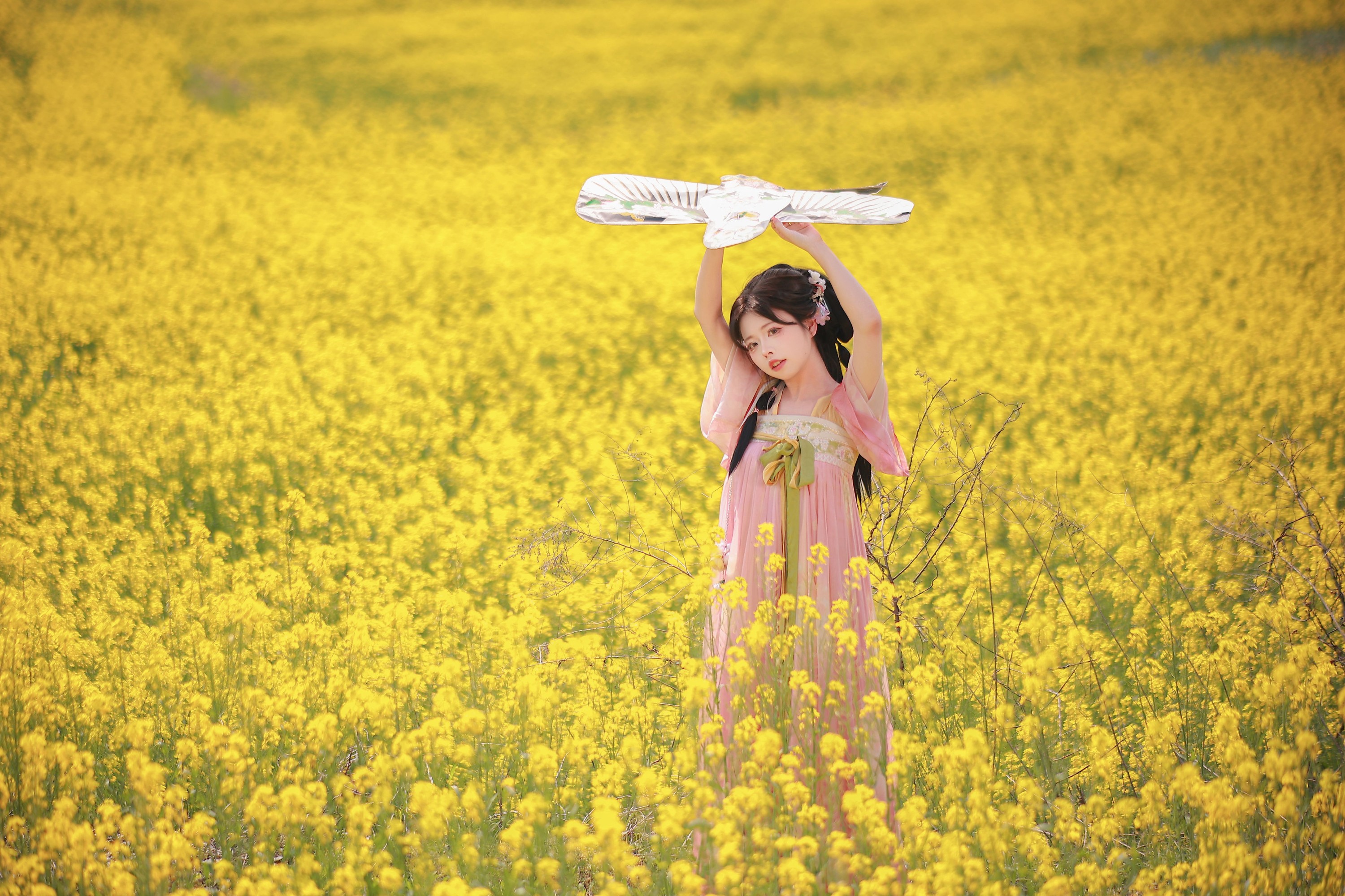 油菜花田
