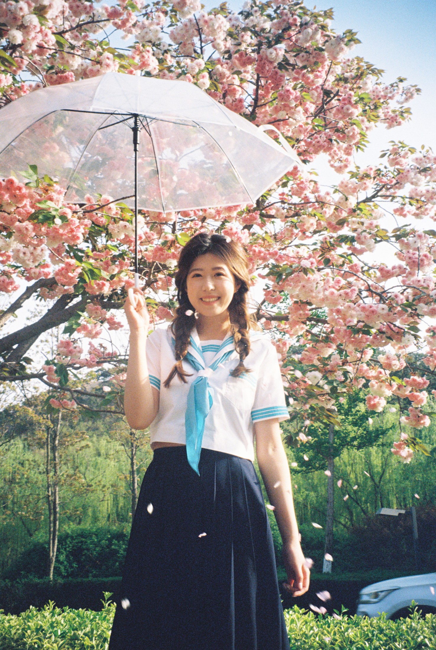 樱花物语