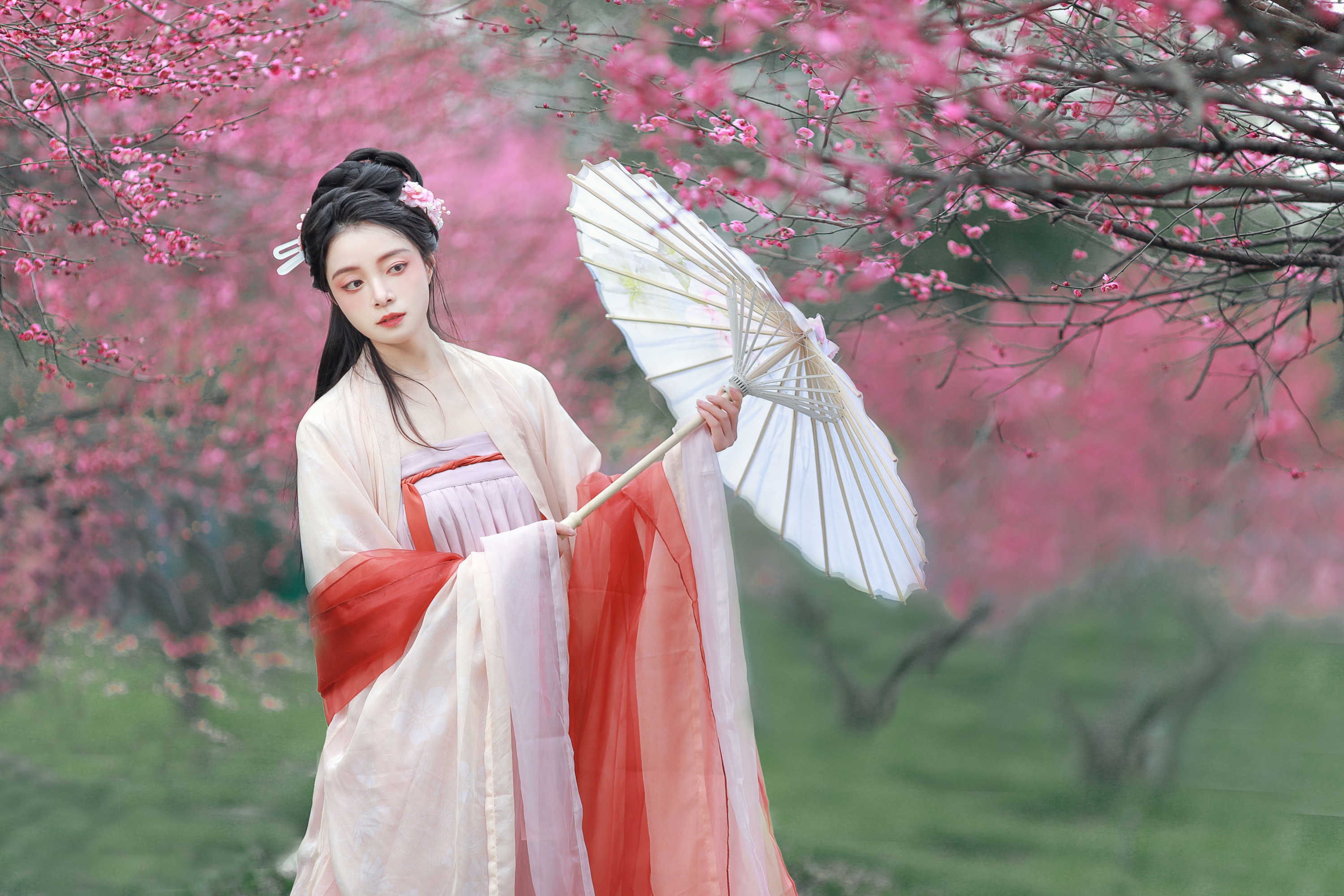 岁岁如意 – 《红梅》[14P]