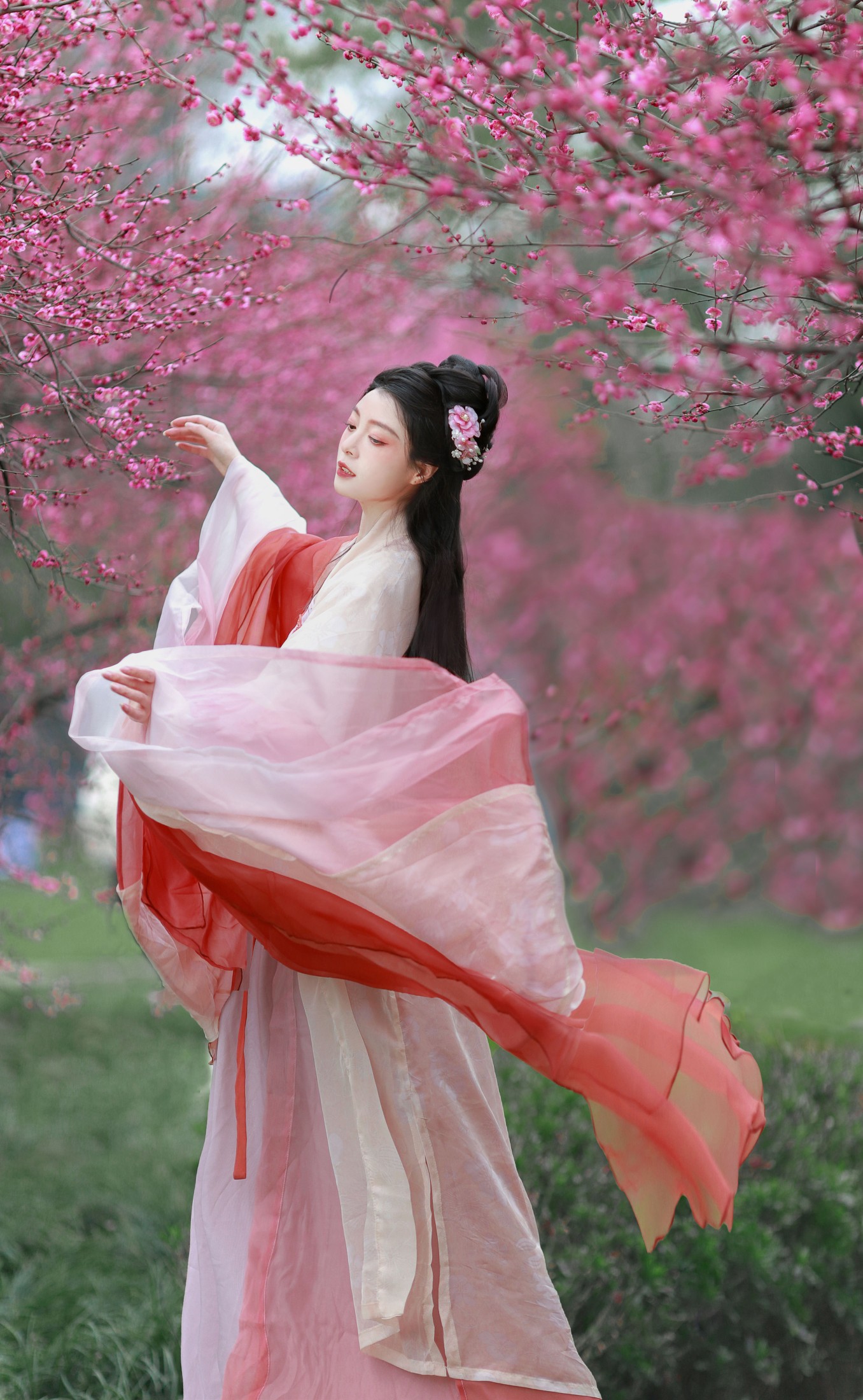 红梅