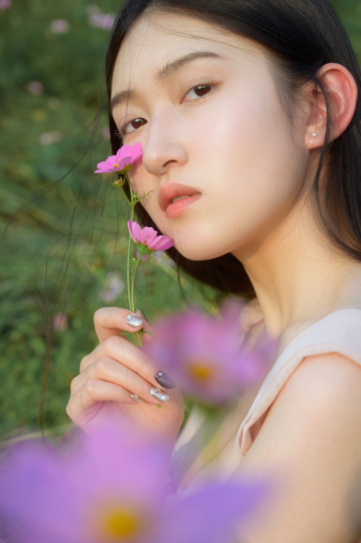 格桑花开