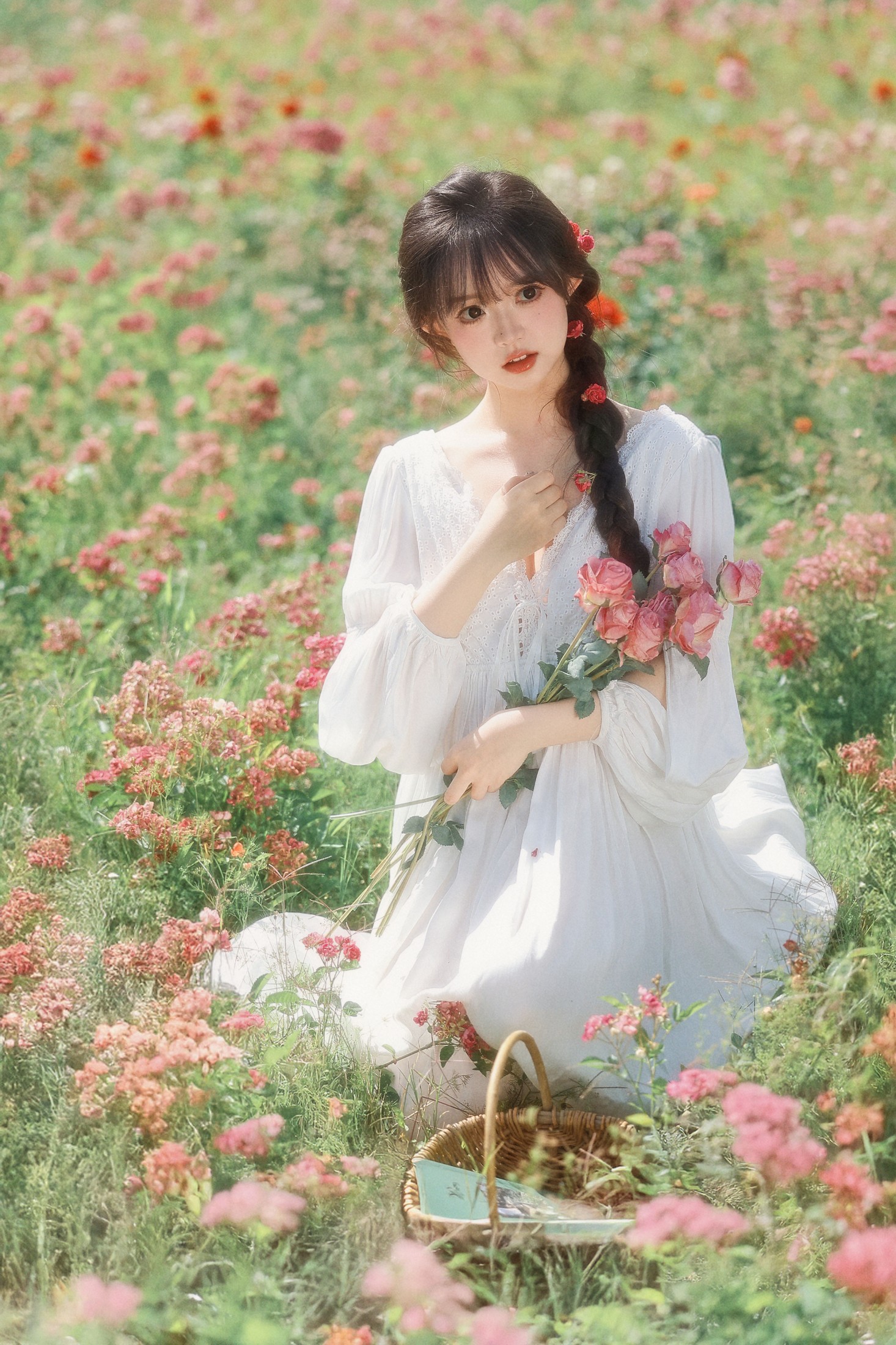 误入爱丽丝的后花园