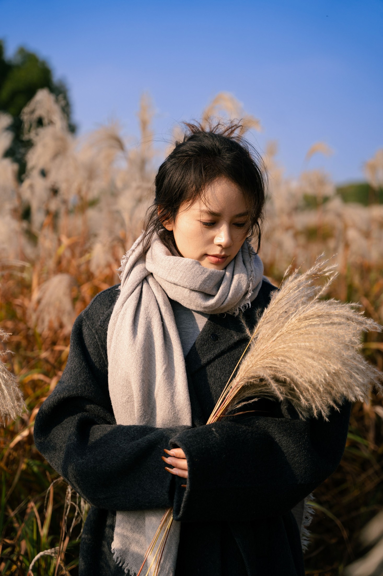 竹官 – 《秋日芦苇荡电影感写真》[13P]