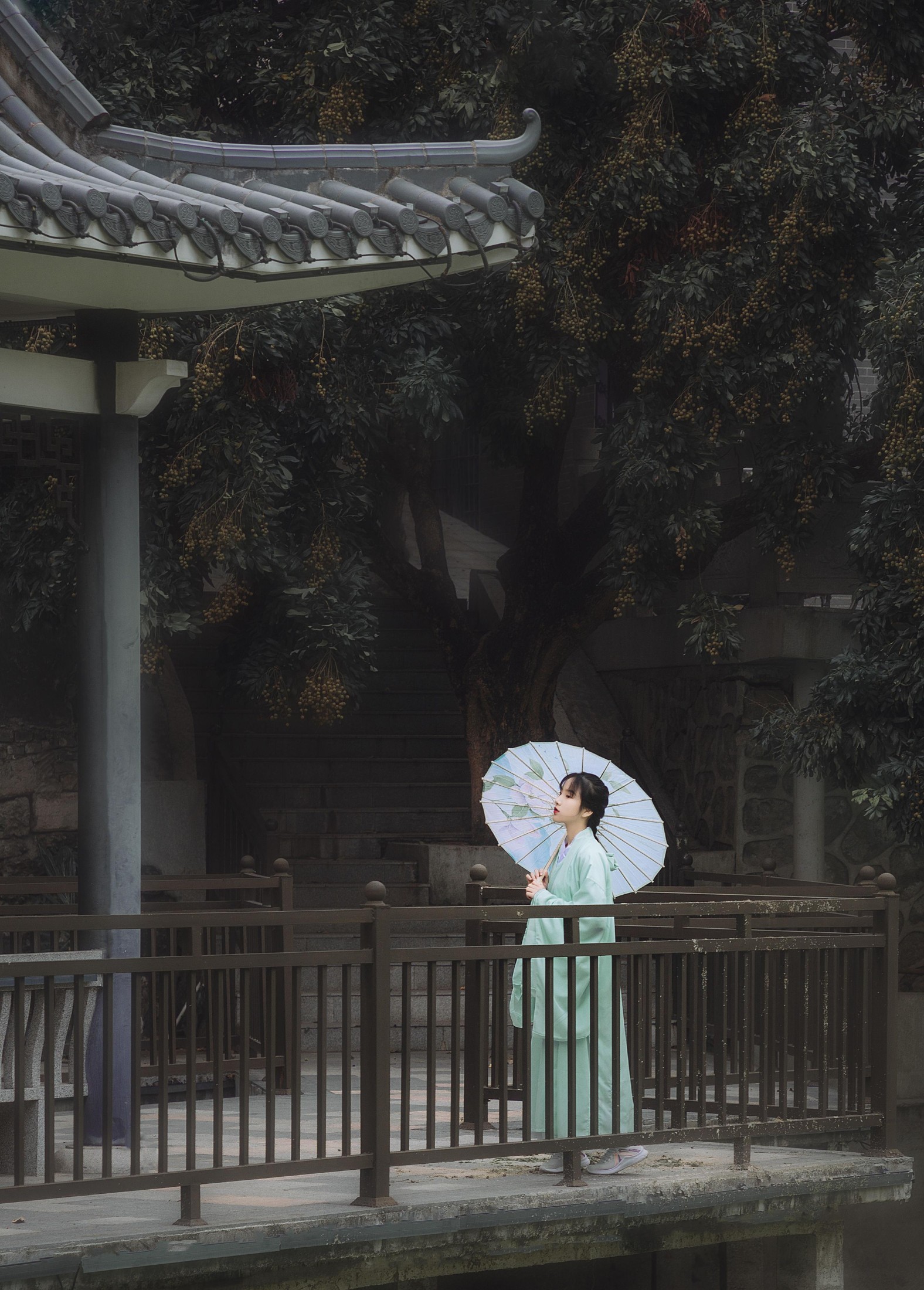 青衫故人