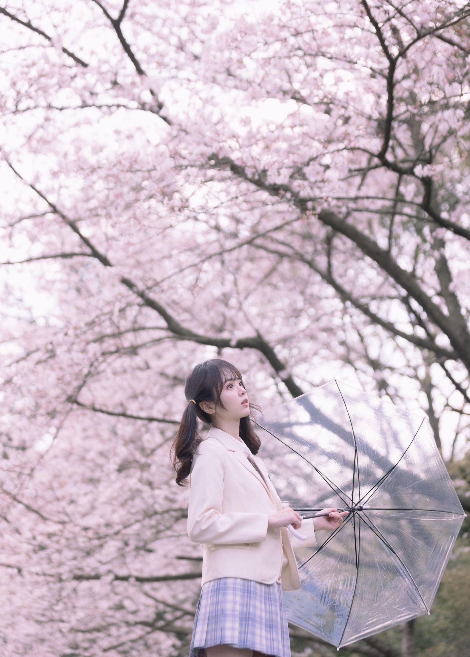 刺青师豆芽 – 《樱花树下的少女》[24P]