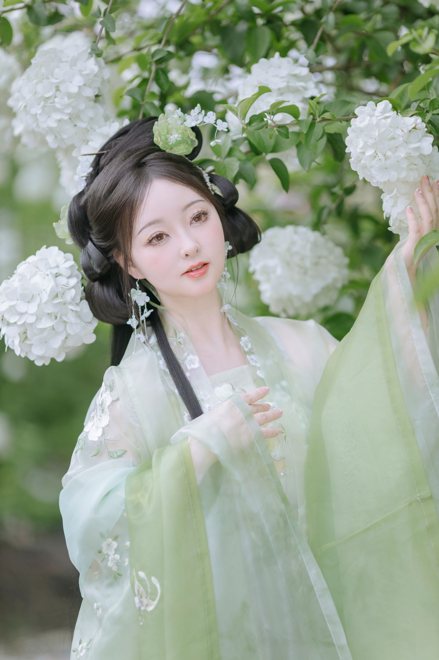 邻家有女