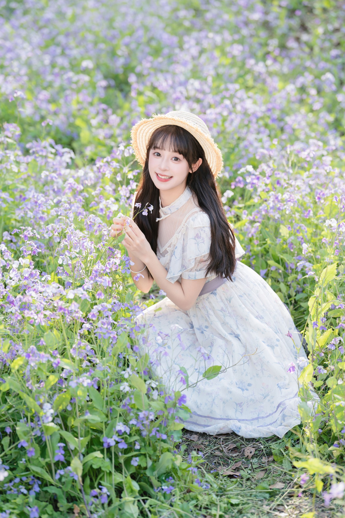 二月兰花海
