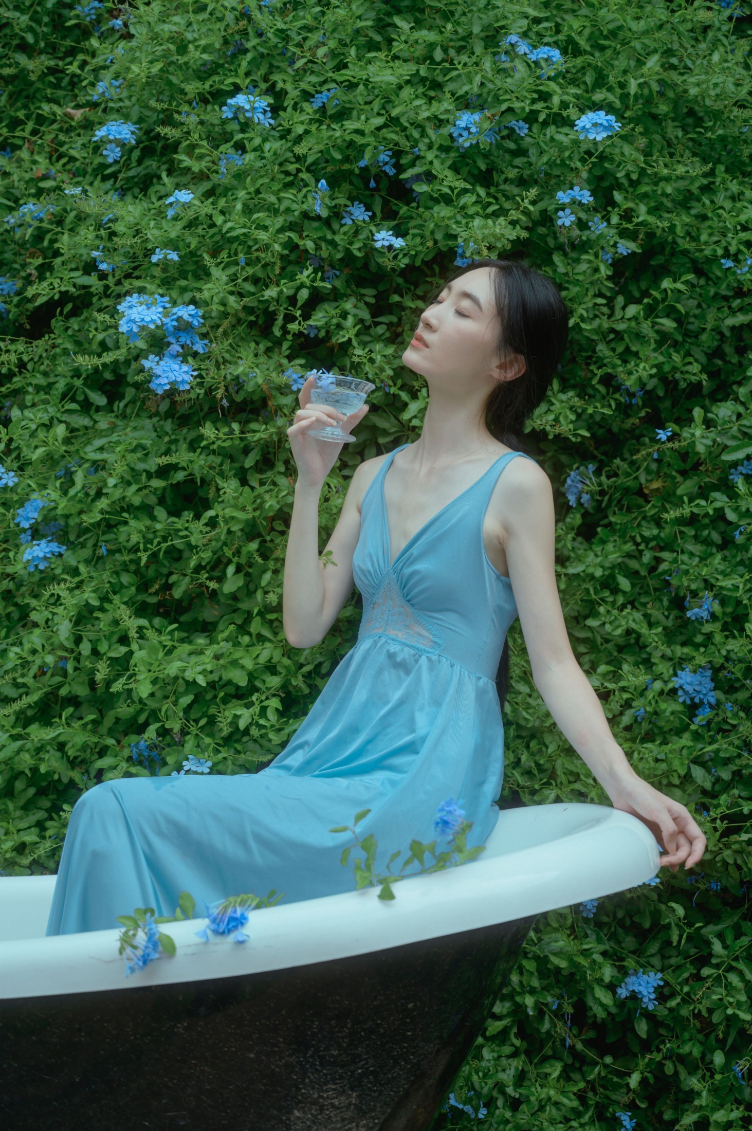 夏天与蓝雪花