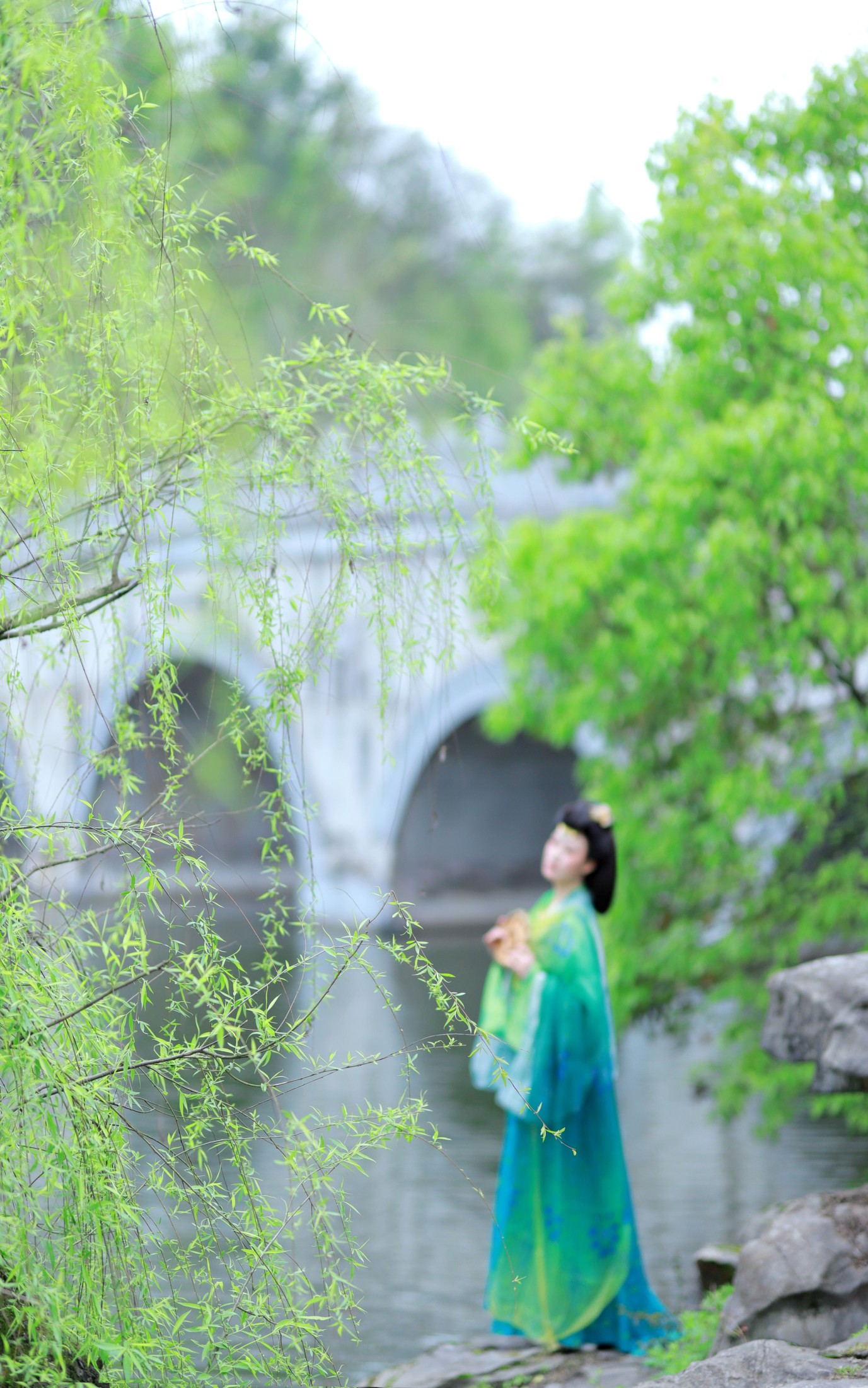 曲江池畔柳如烟