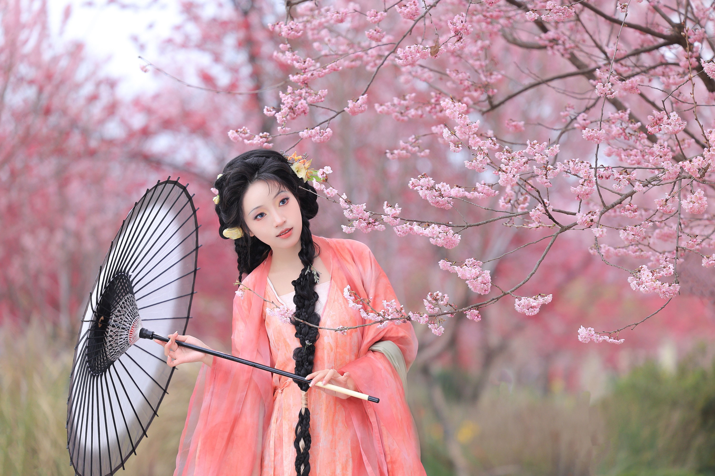 繁花似锦