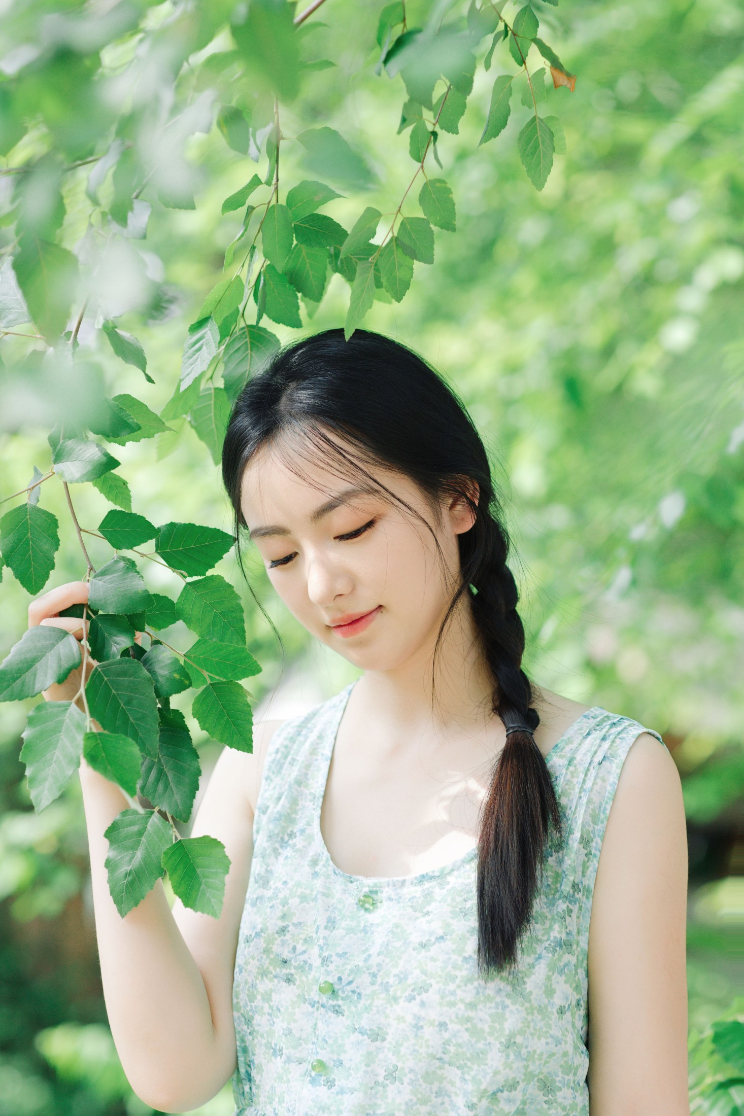 薄荷糖般的夏天