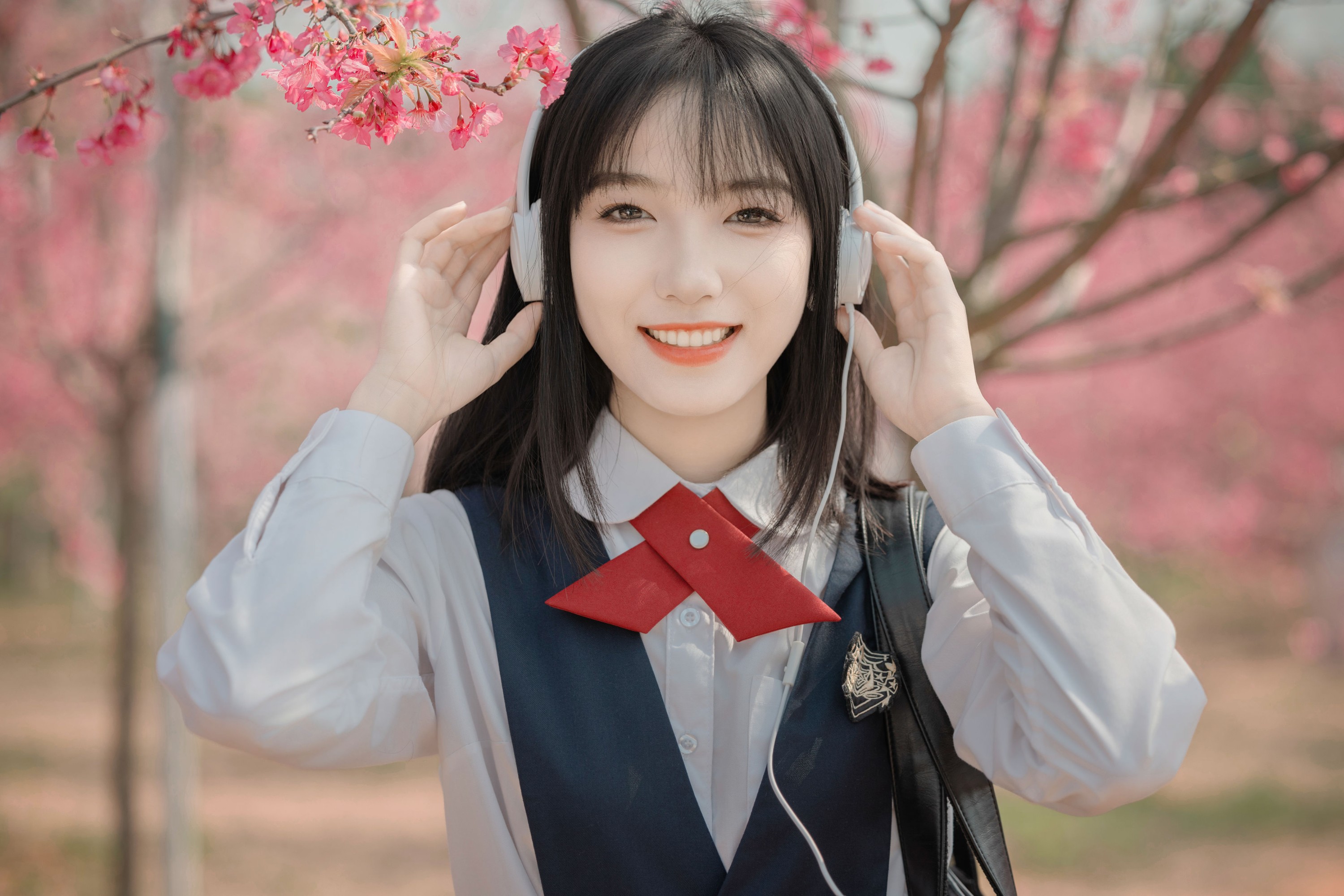 樱花树下