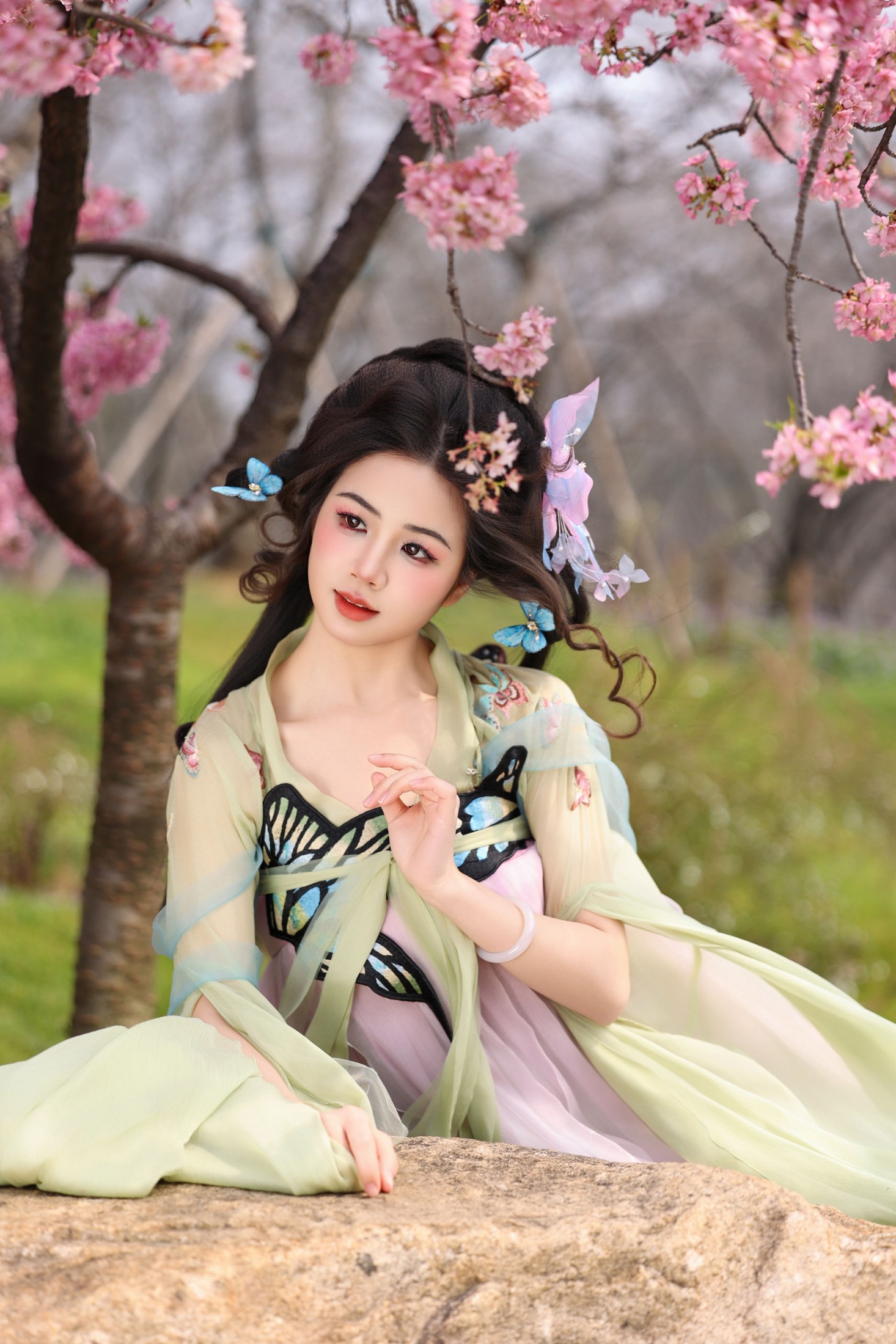 蝴蝶梦