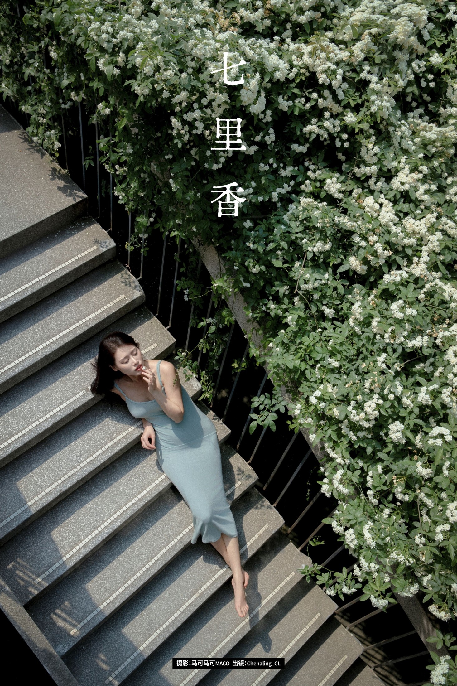 七里香