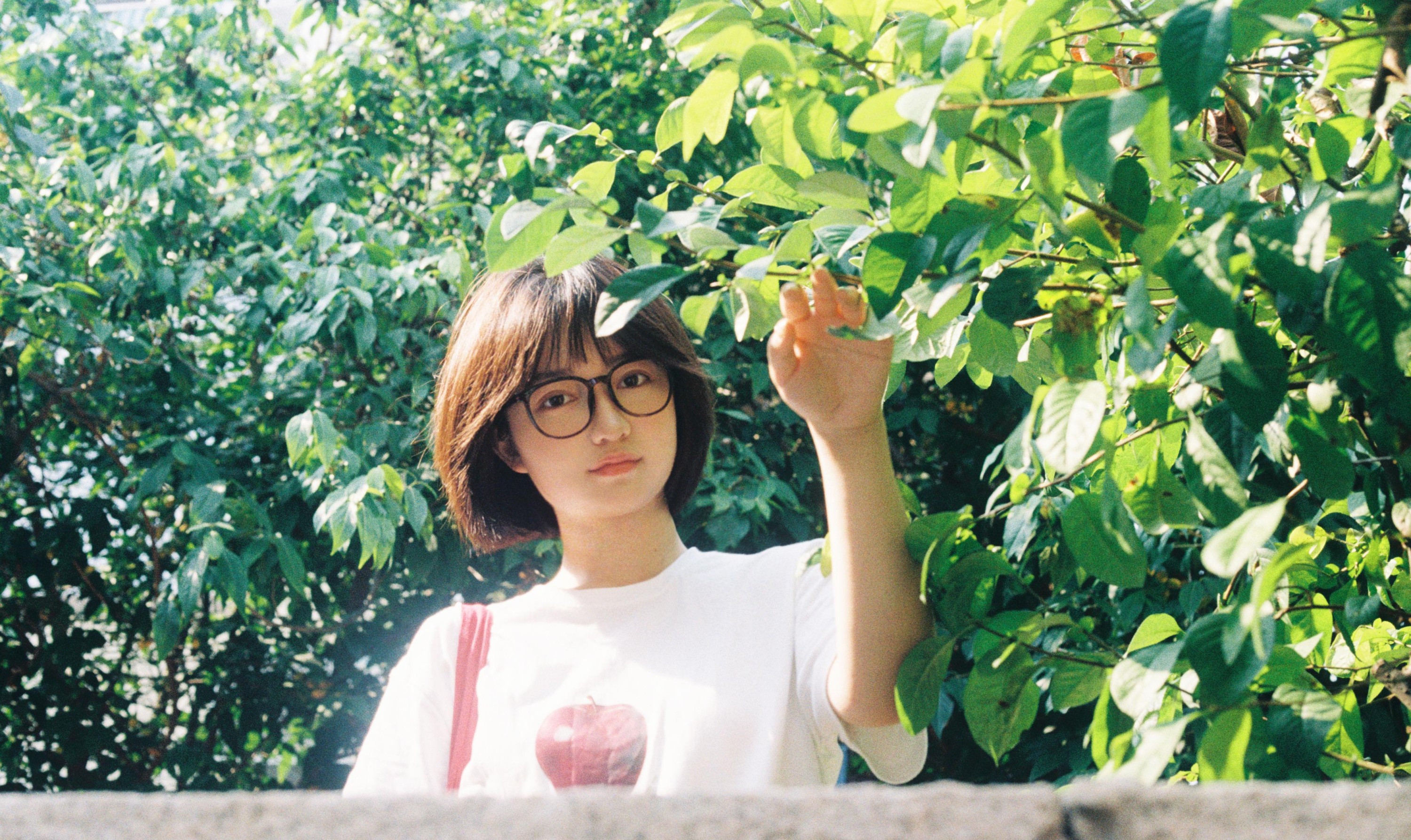 。 – 《青岛的夏》[14P]