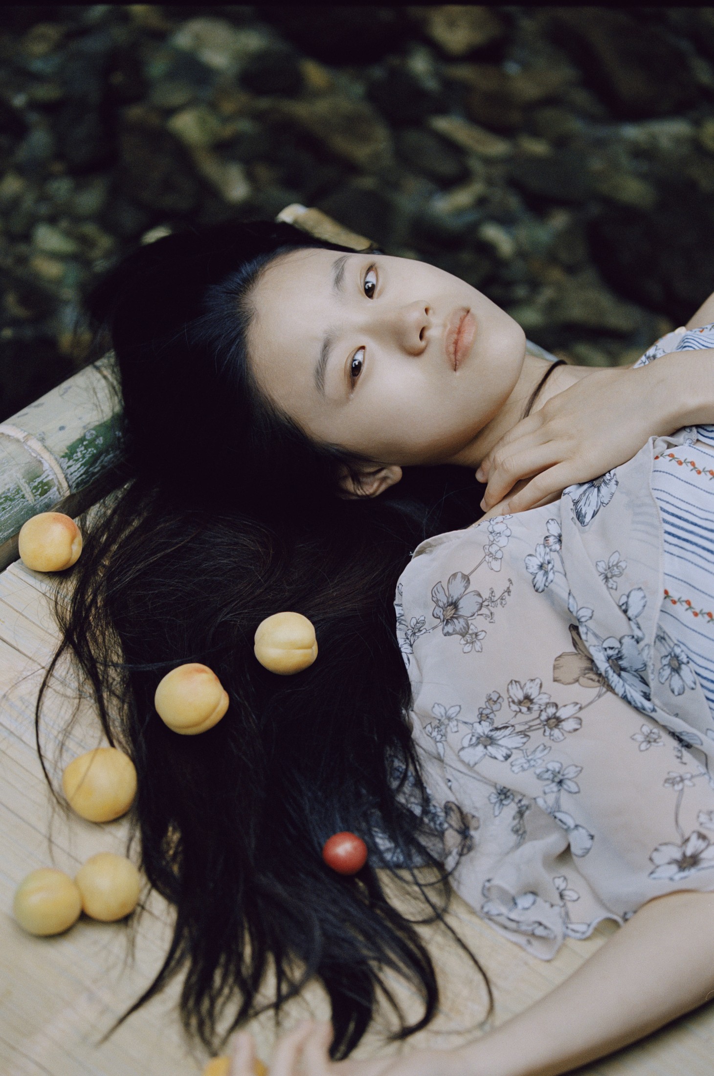 vous – 《蜻蜓之梦》[54P]