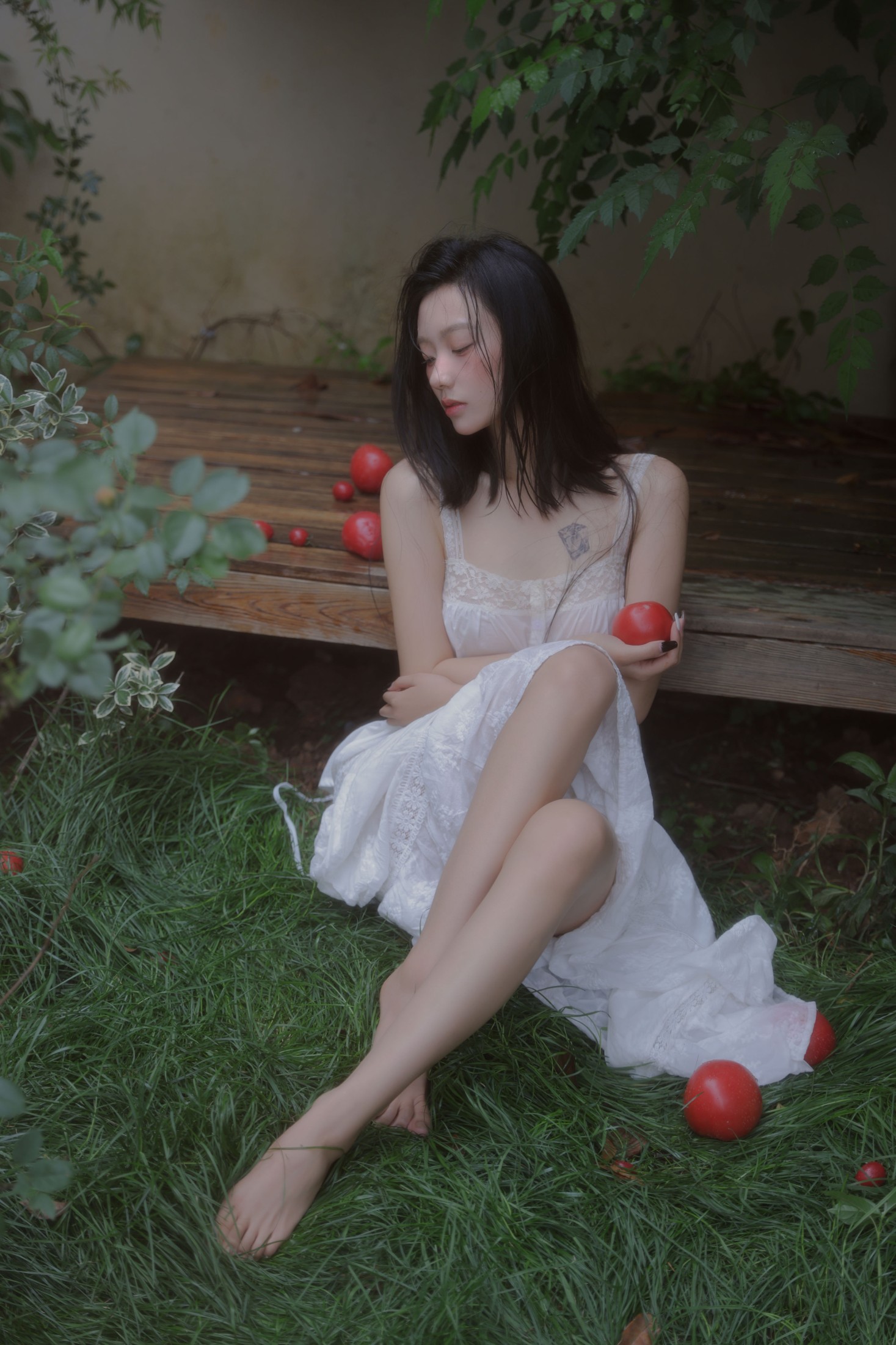 番茄红了