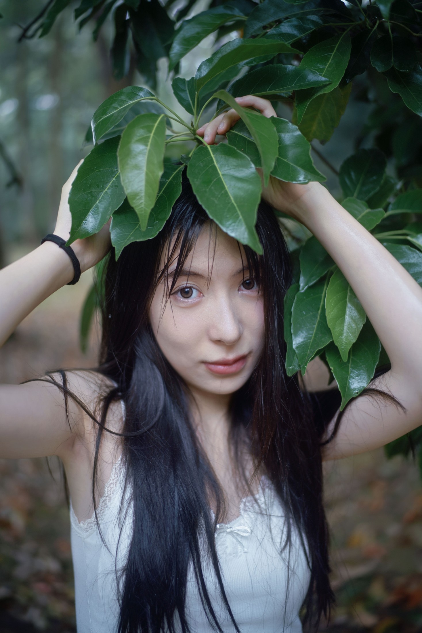 雨林微雨・少女的湿漉漉童话