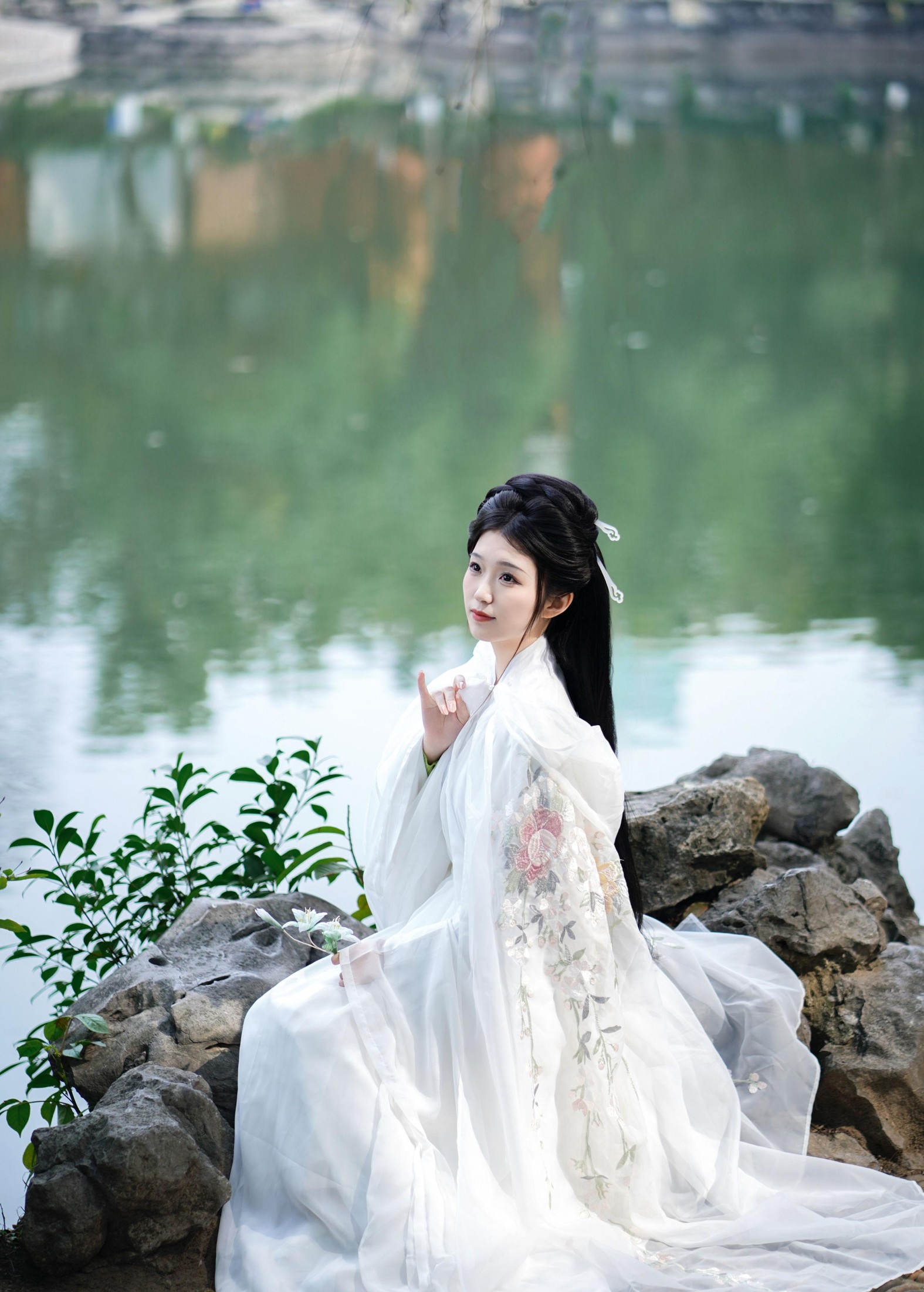 清光