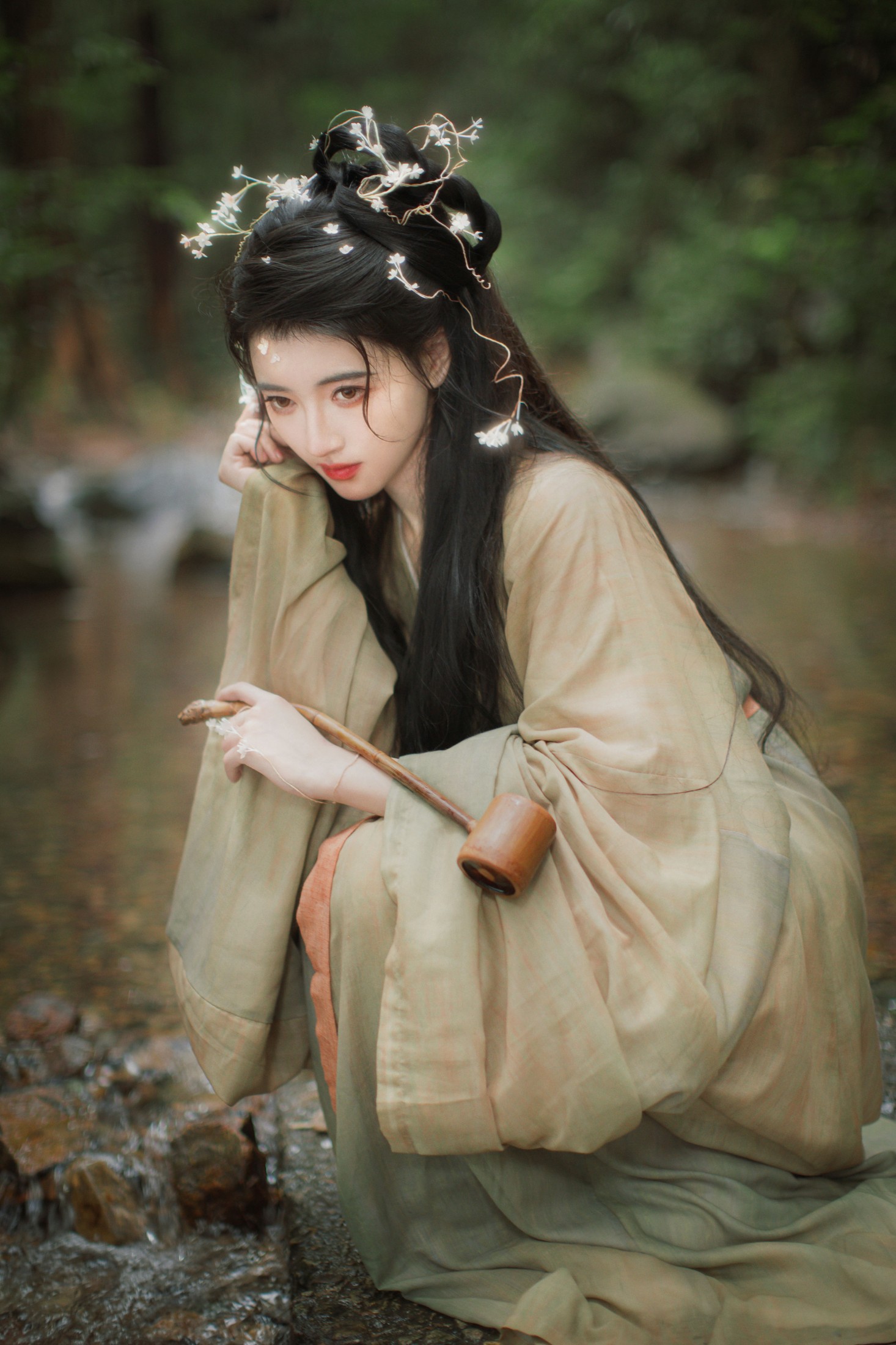 菟丝子