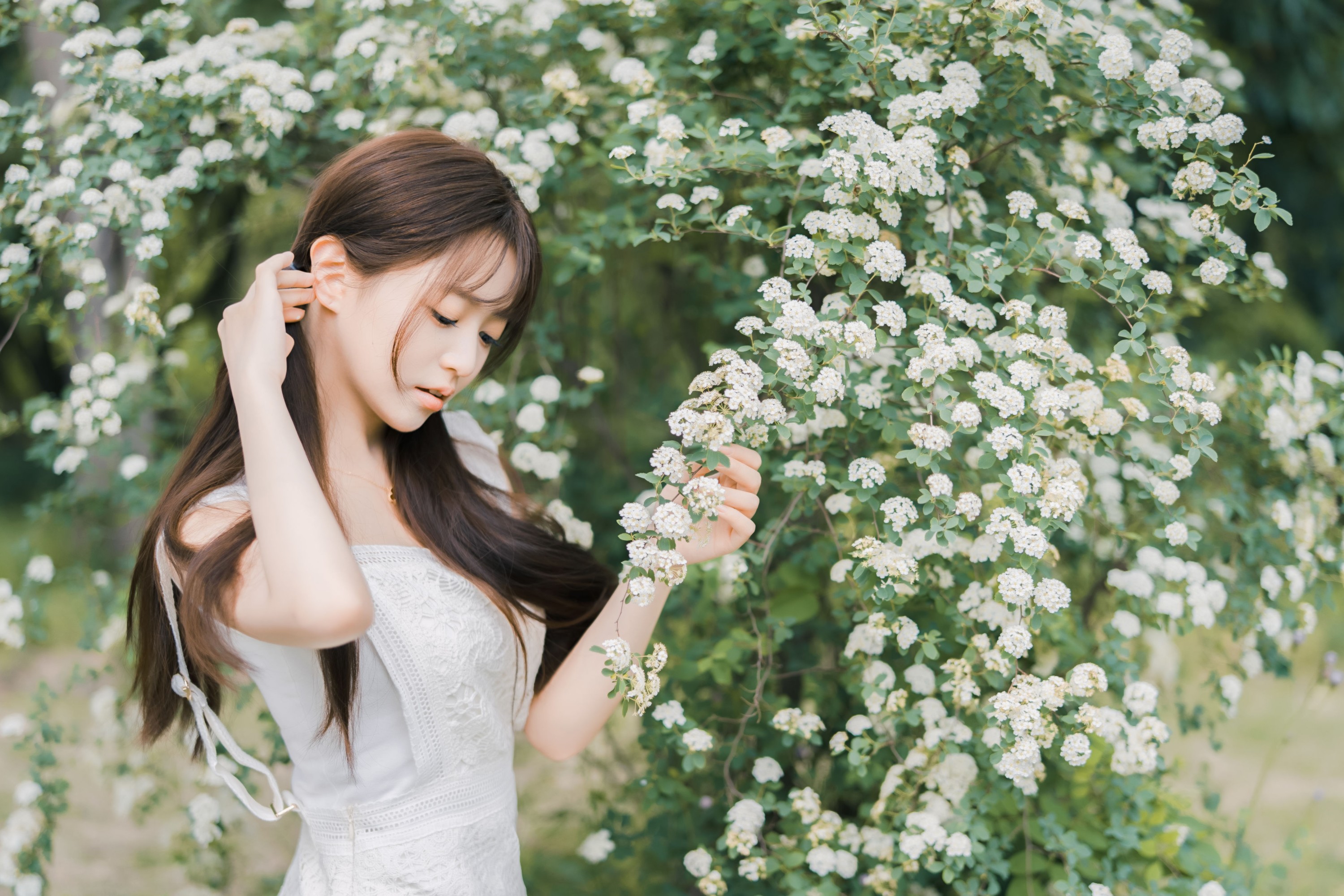 蔷薇小可爱