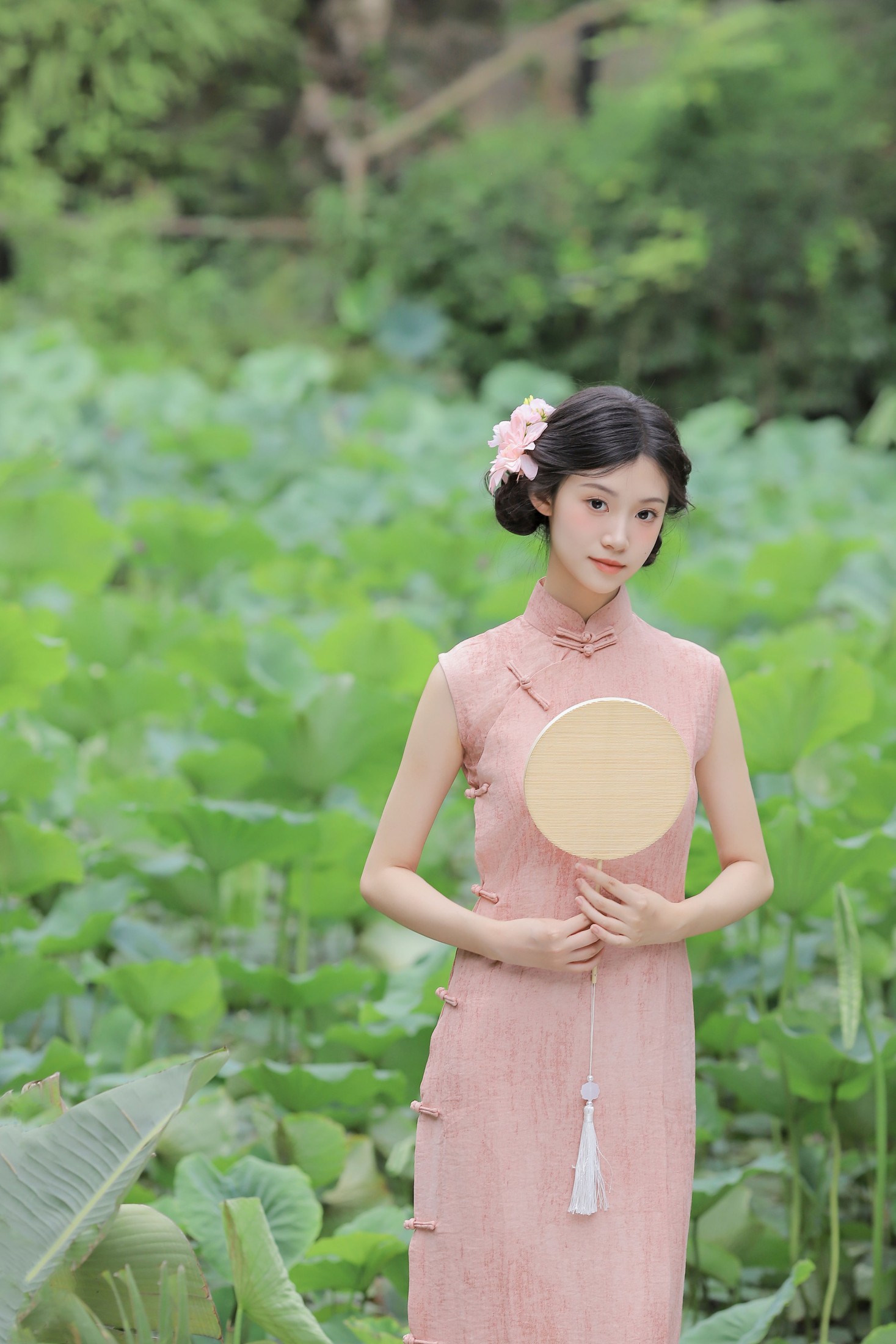 误入藕花深处